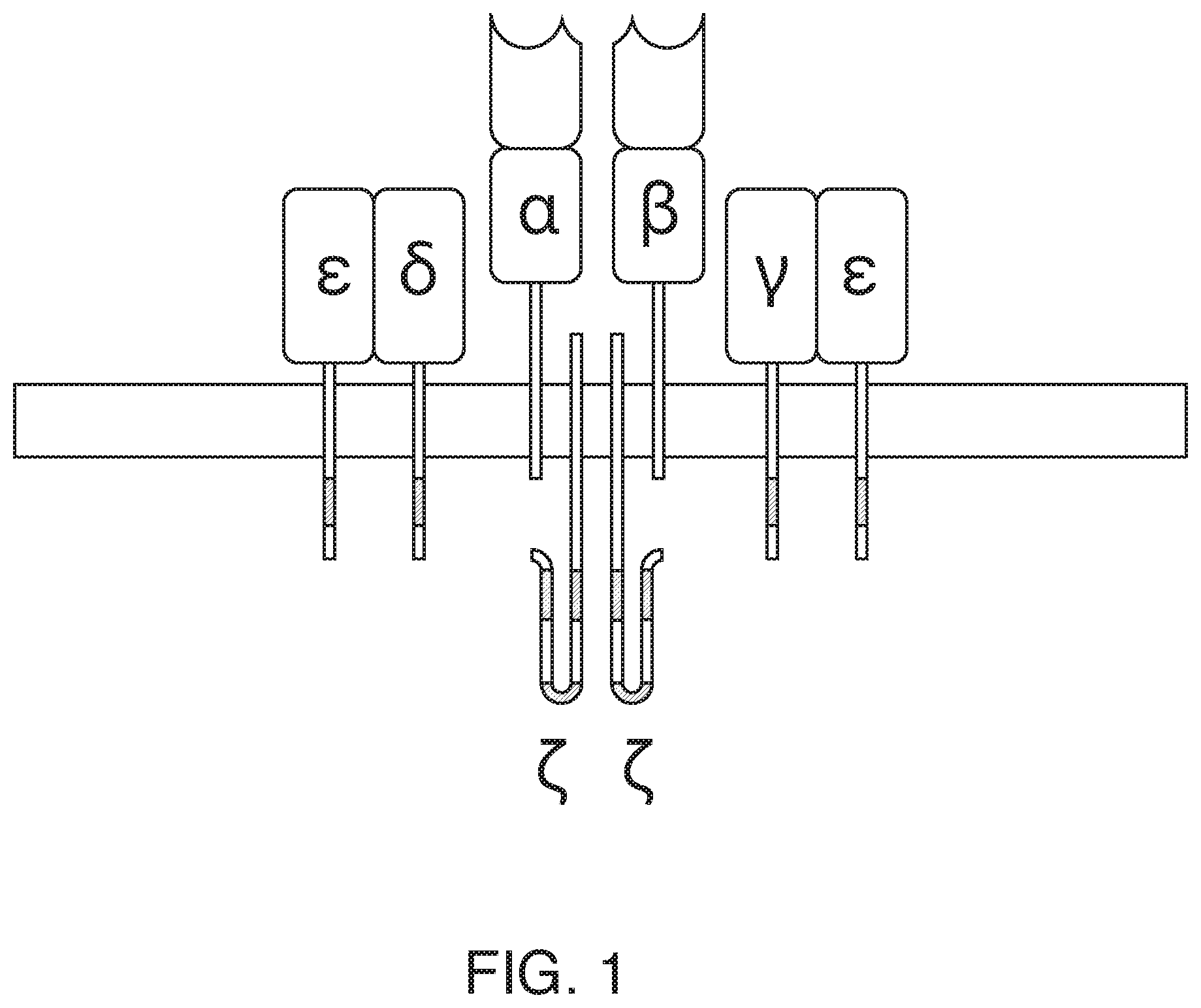 Patent US12351874 Figure 1 – Assessing transplant rejection status by analysis of t-cell receptor subunit repertoire diversity
