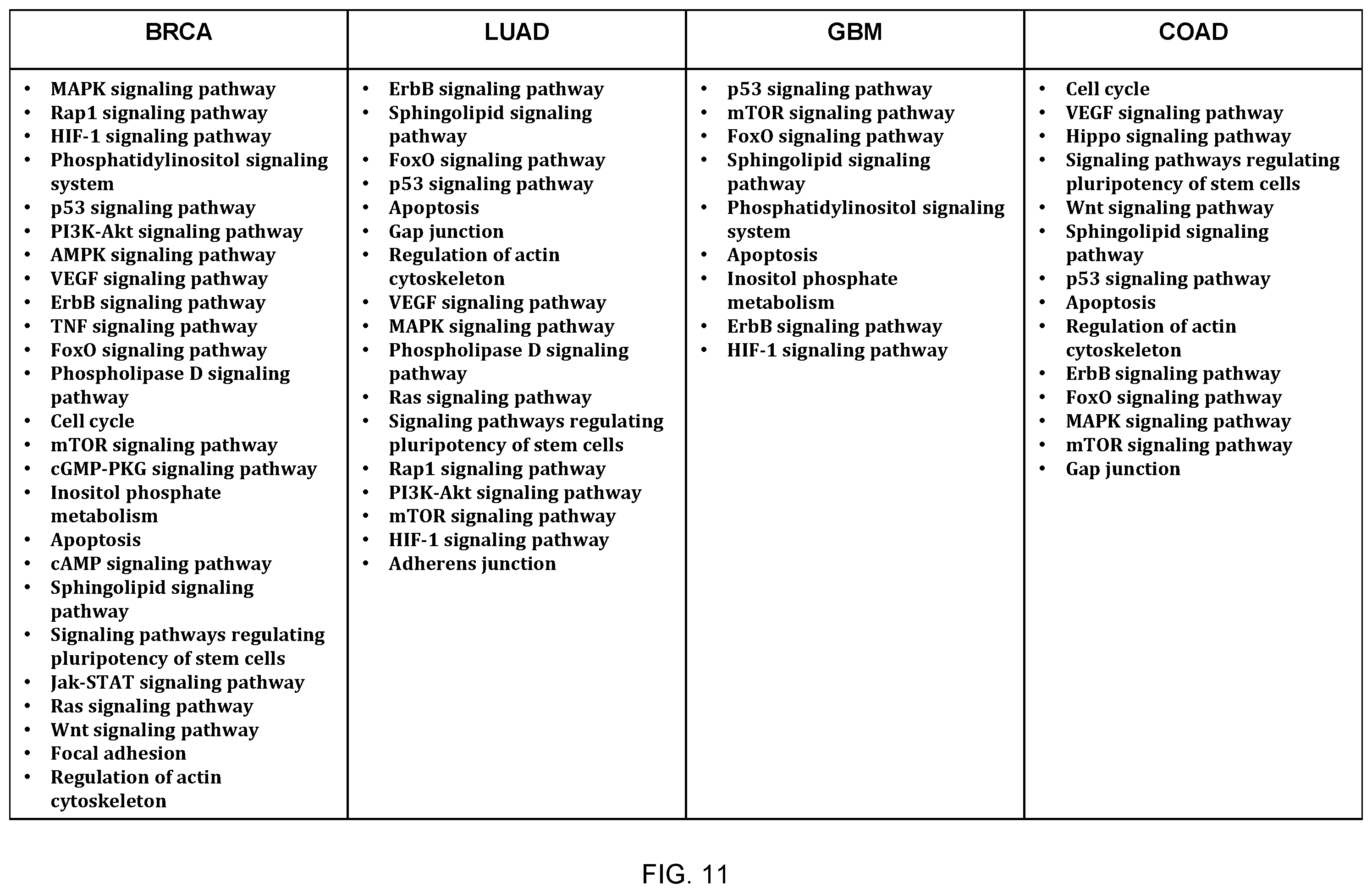 Patent US12351875 Figure 11 – Detecting cancer driver genes and pathways