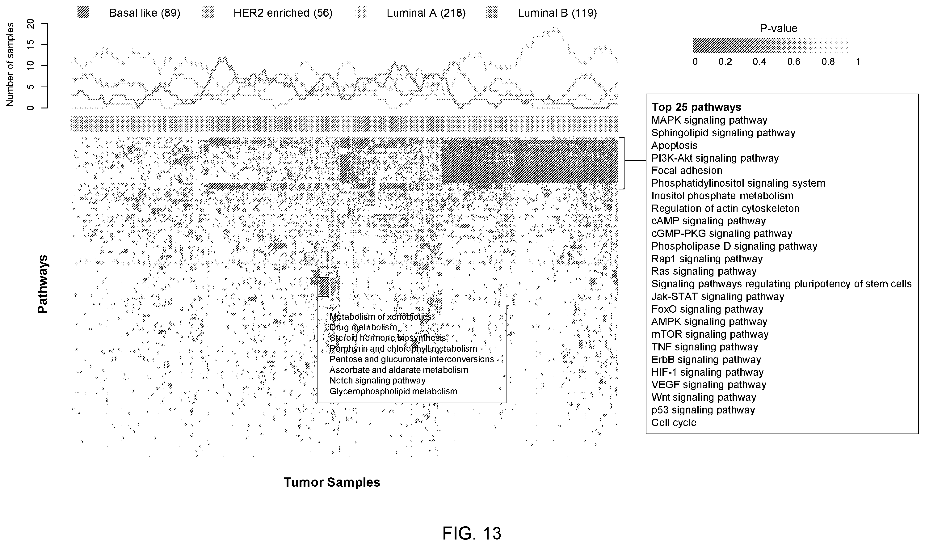 Patent US12351875 Figure 13 – Detecting cancer driver genes and pathways
