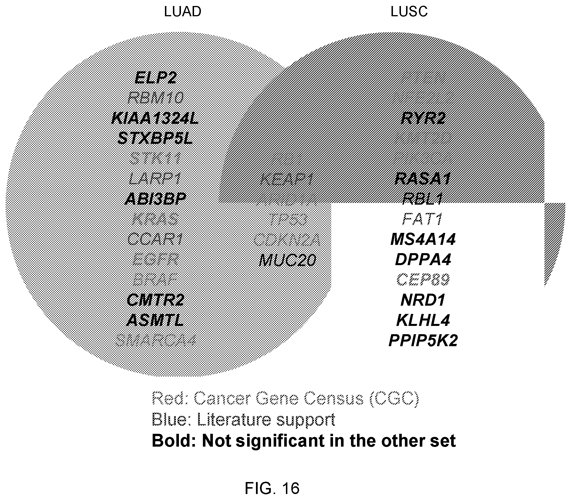 Patent US12351875 Figure 16 – Detecting cancer driver genes and pathways