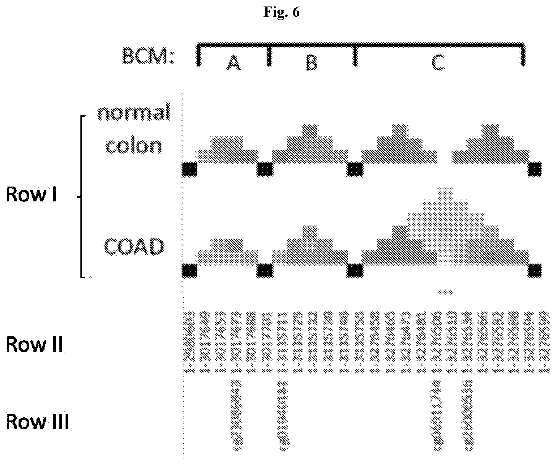 Patent US12351876 Figure 6 – Colon cancer methylation markers and uses thereof