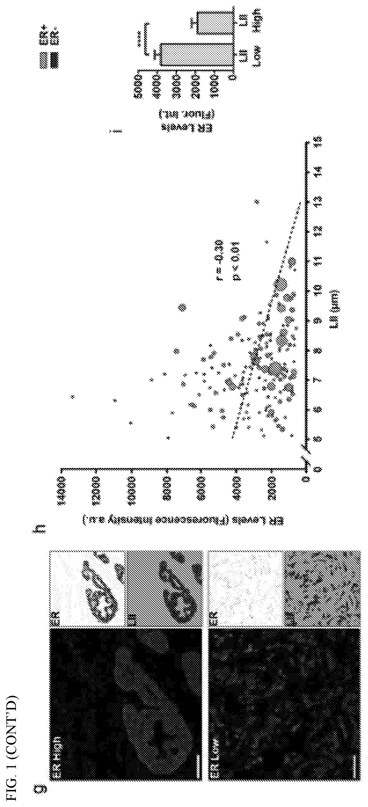 Patent US12351877 Figure 2 – Systems and methods for determining a treatment course of action