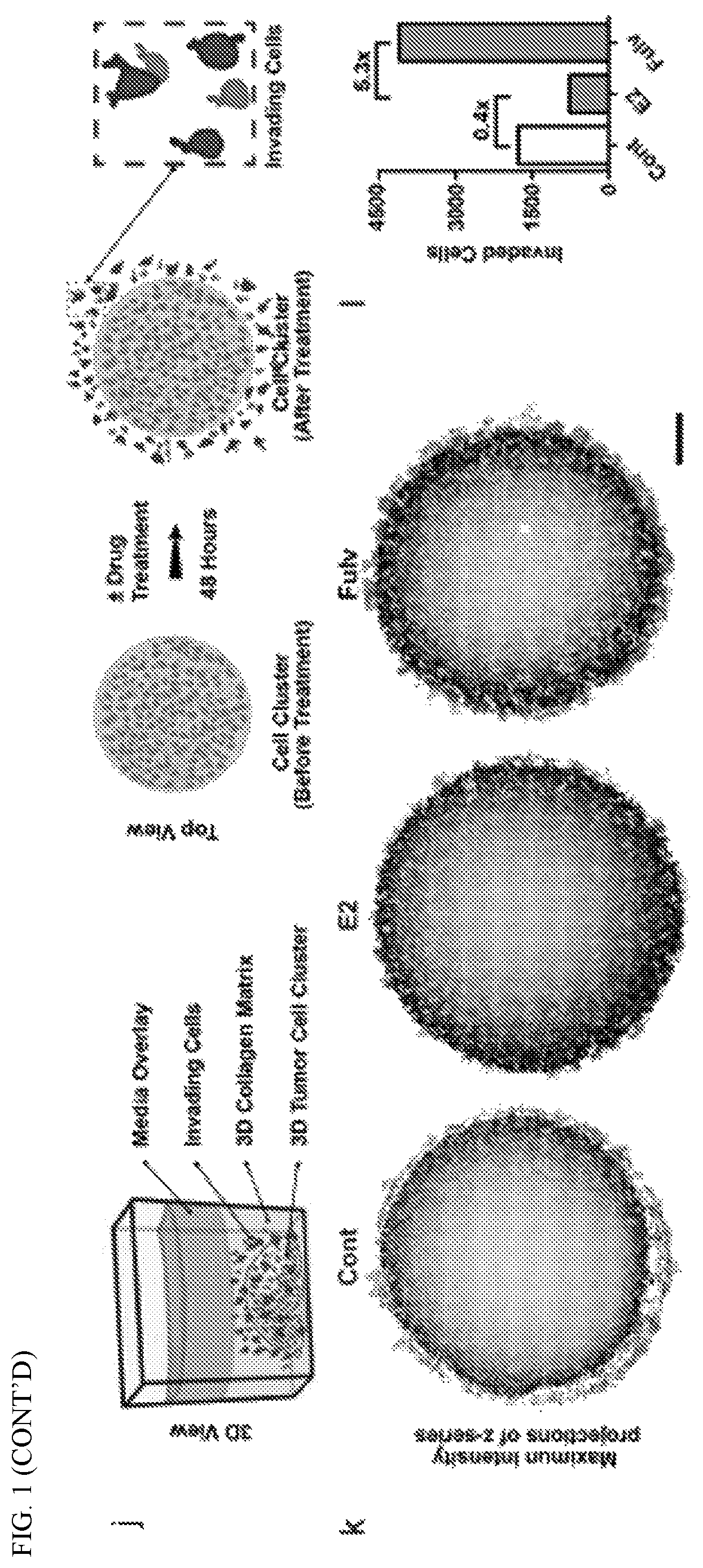 Patent US12351877 Figure 3 – Systems and methods for determining a treatment course of action