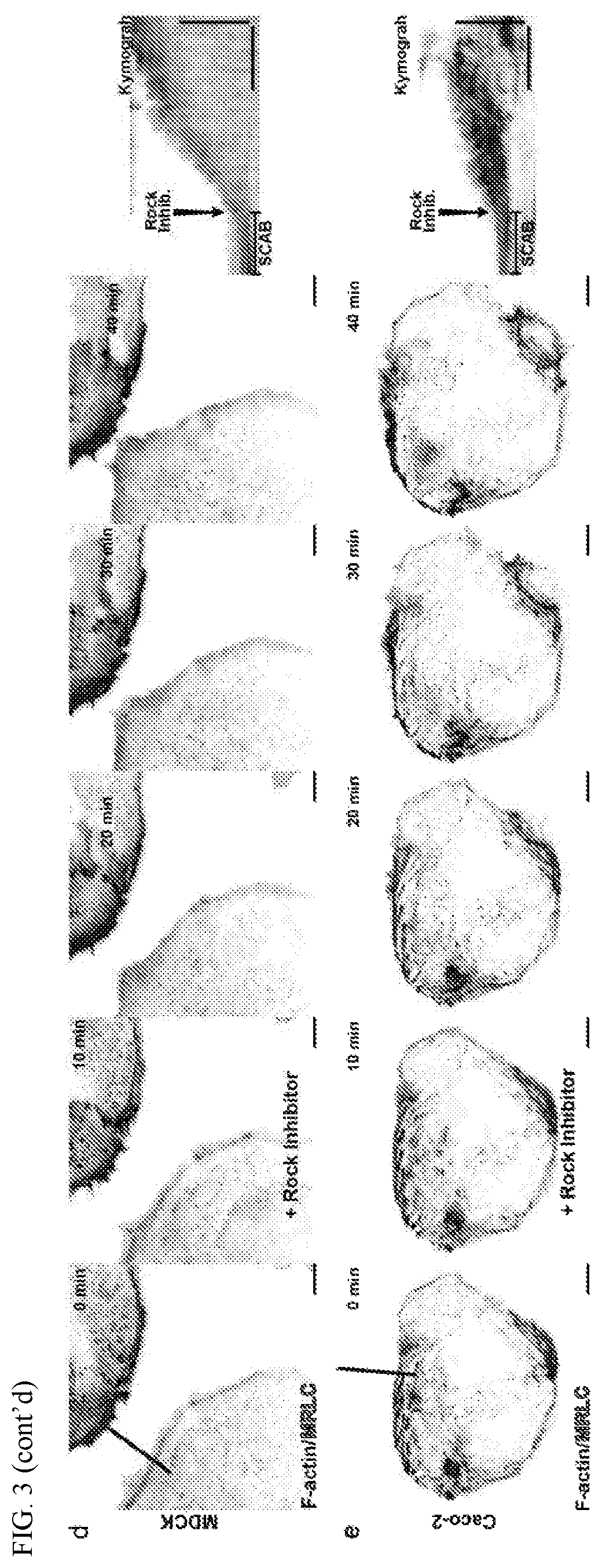 Patent US12351877 Figure 8 – Systems and methods for determining a treatment course of action