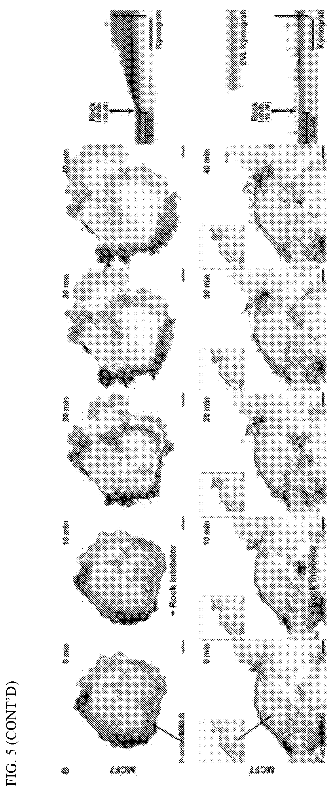 Patent US12351877 Figure 13 – Systems and methods for determining a treatment course of action
