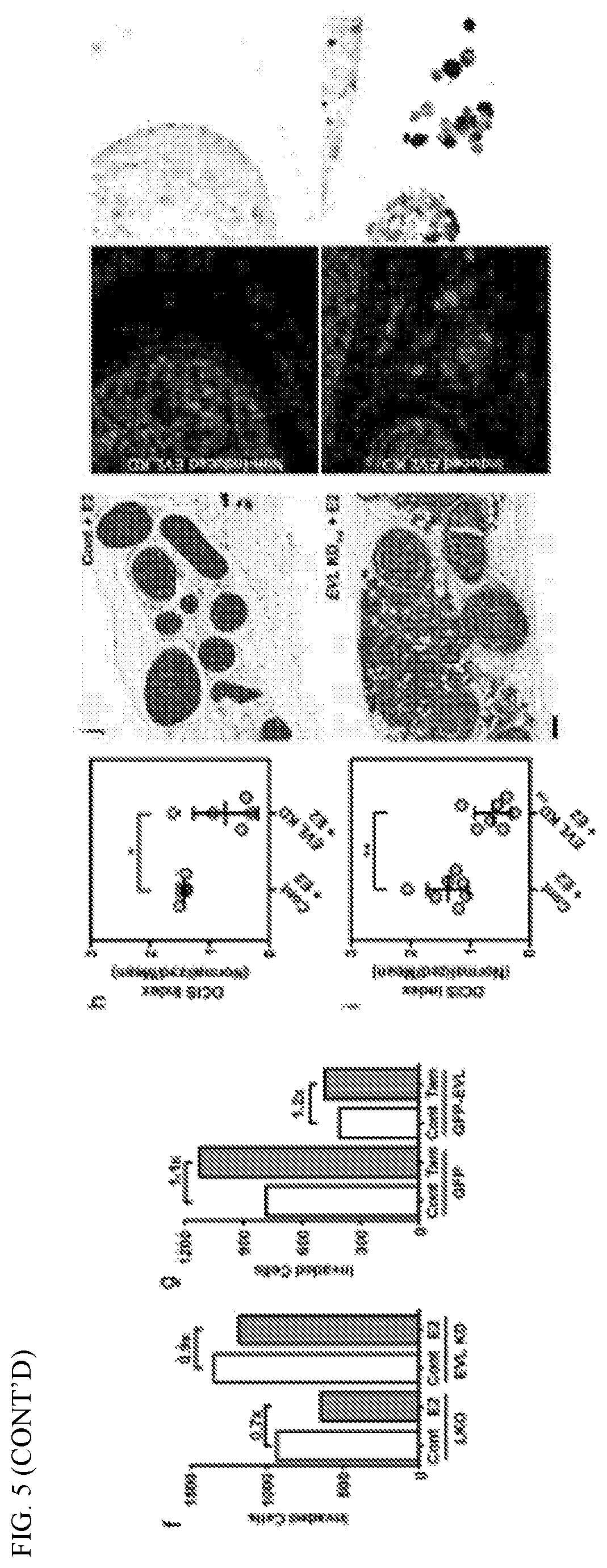 Patent US12351877 Figure 14 – Systems and methods for determining a treatment course of action
