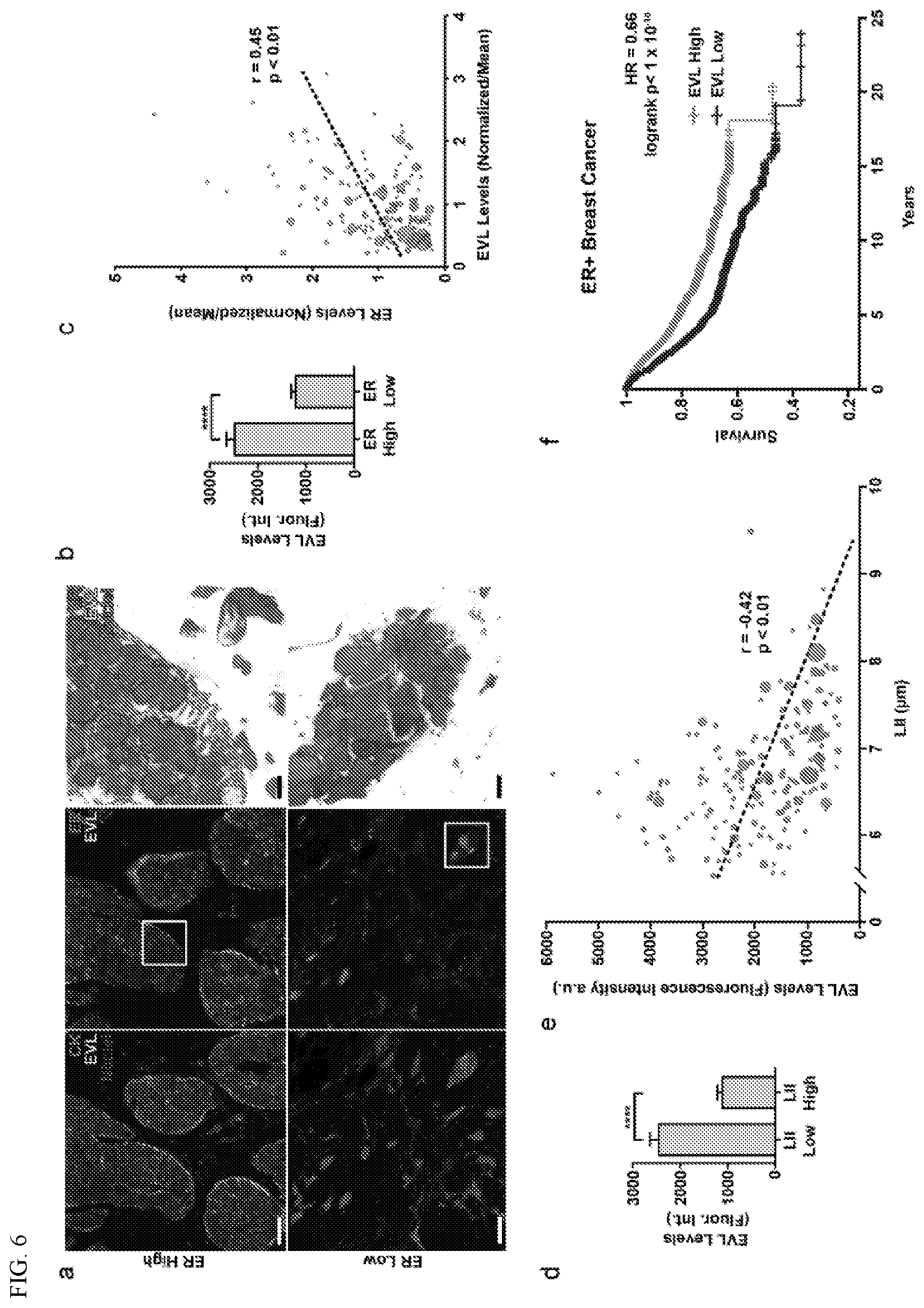 Patent US12351877 Figure 15 – Systems and methods for determining a treatment course of action