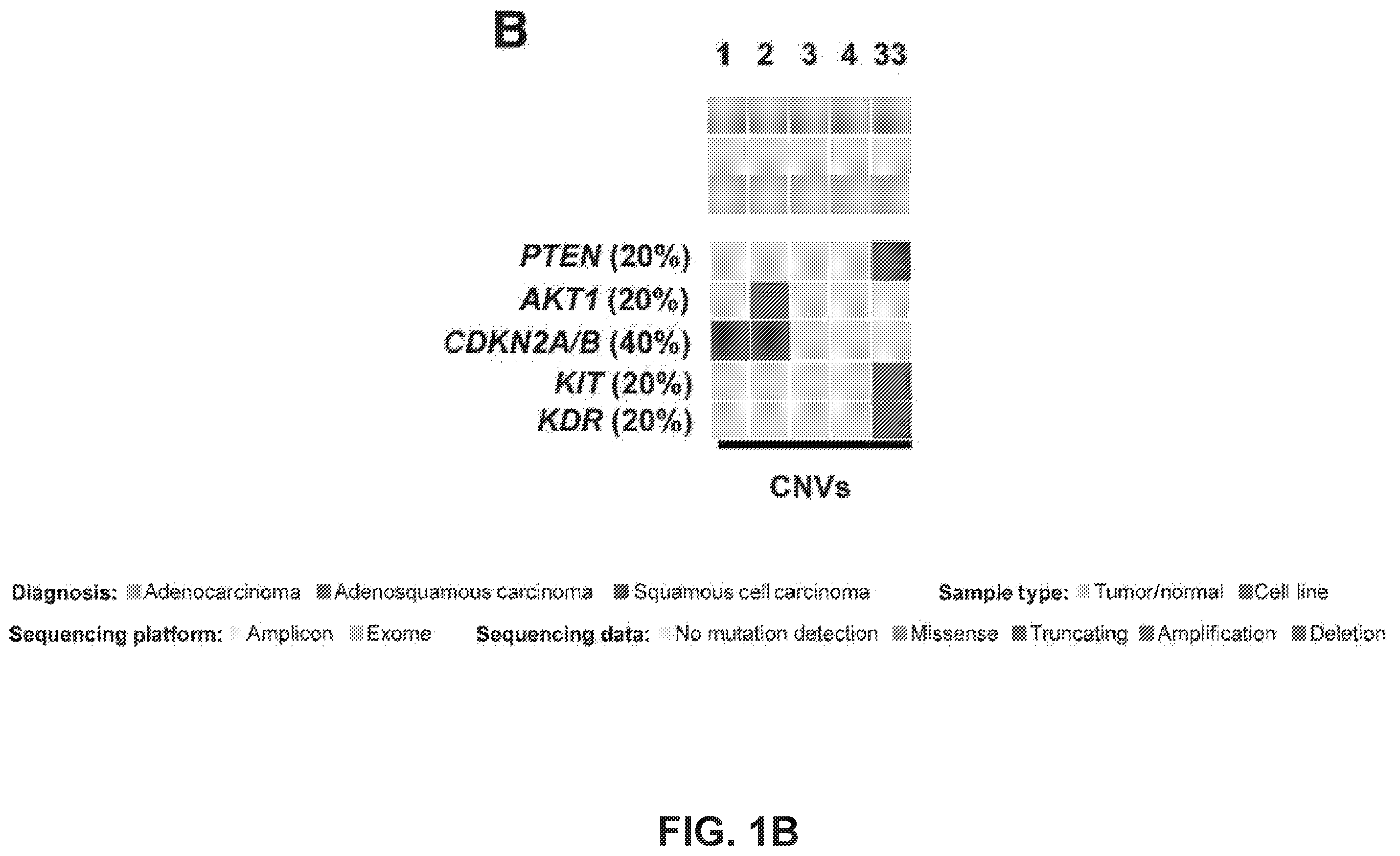 Patent US12351878 Figure 2 – Identification of HER2 mutations in lung cancer and methods of treatment
