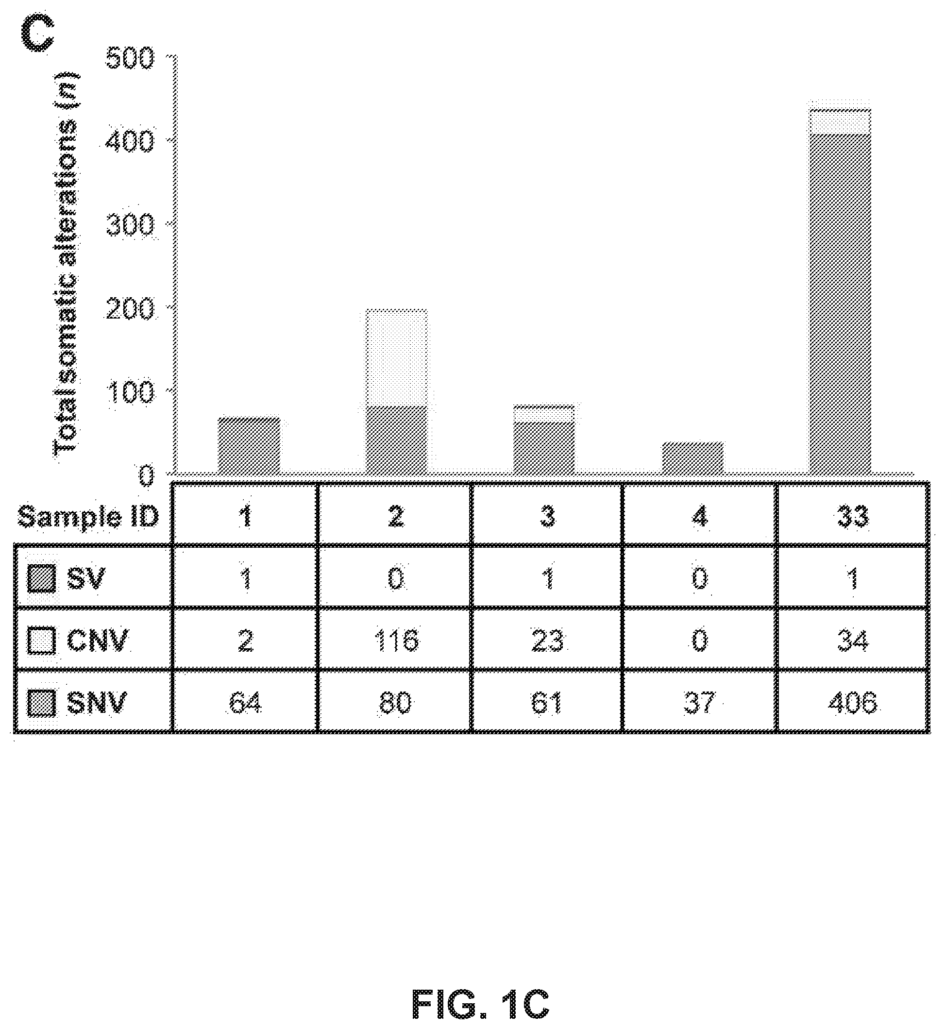 Patent US12351878 Figure 3 – Identification of HER2 mutations in lung cancer and methods of treatment