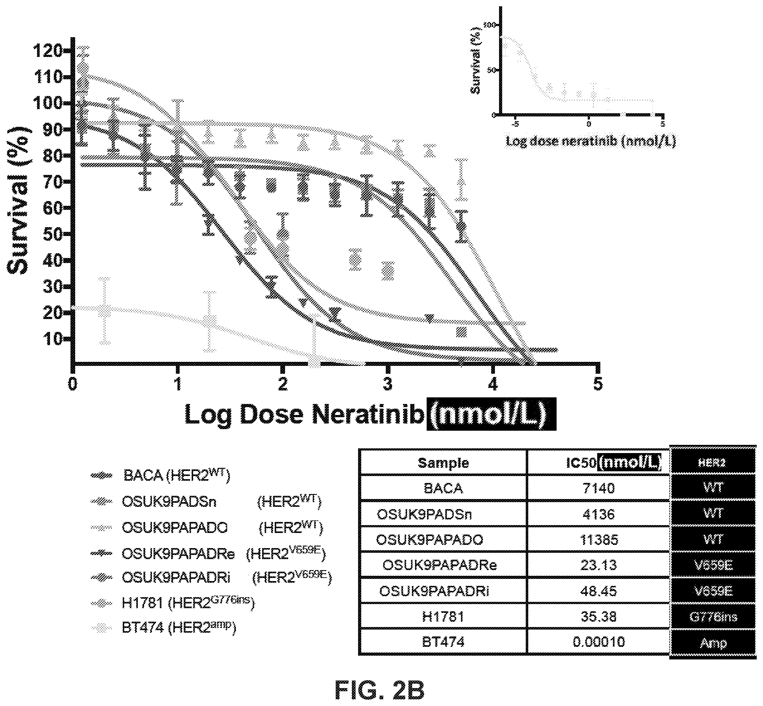 Patent US12351878 Figure 6 – Identification of HER2 mutations in lung cancer and methods of treatment