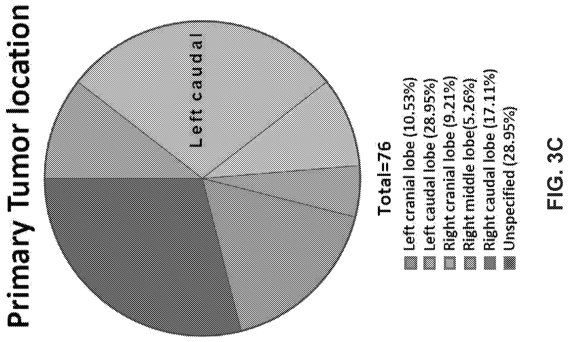 Patent US12351878 Figure 10 – Identification of HER2 mutations in lung cancer and methods of treatment