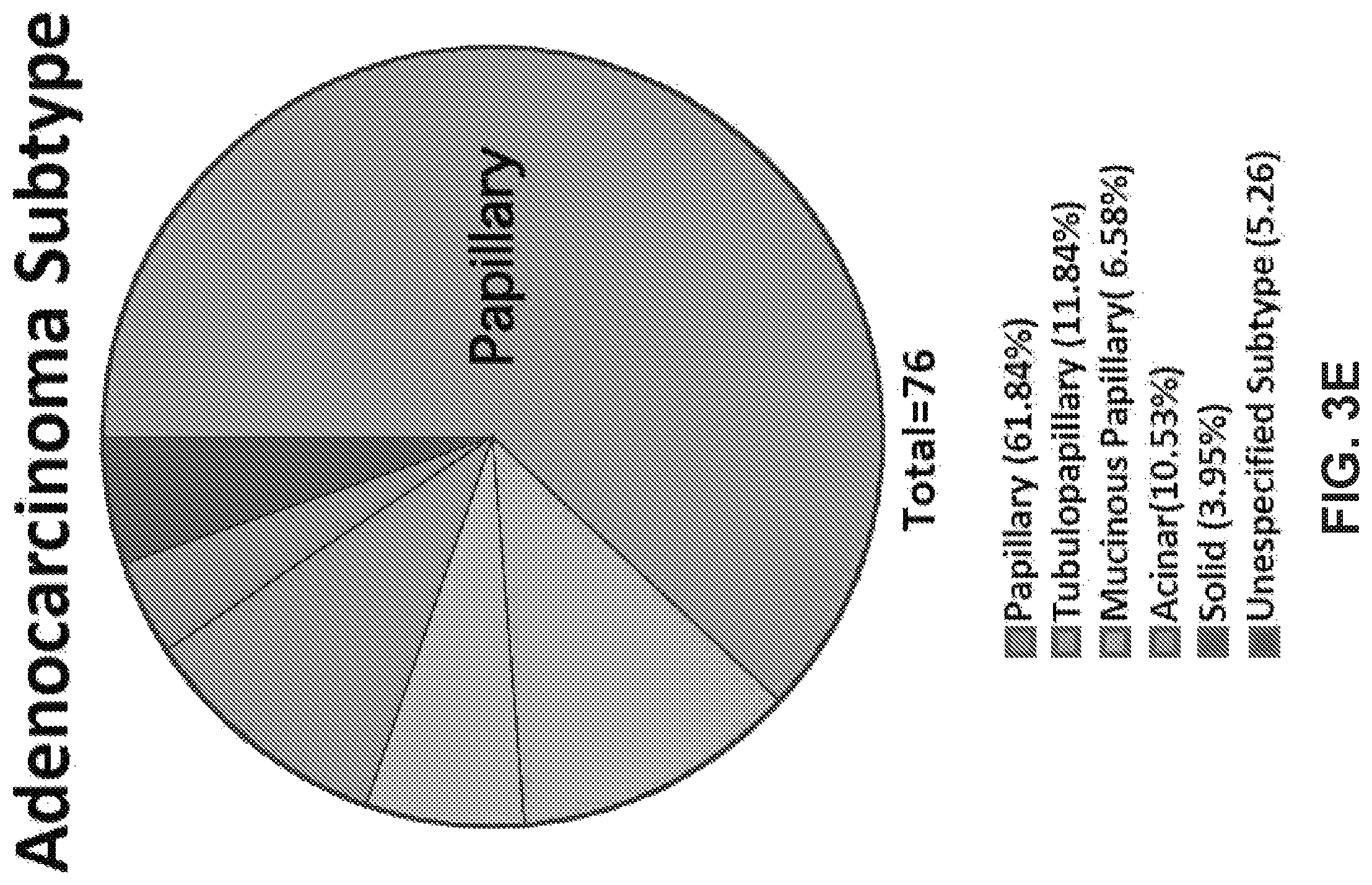 Patent US12351878 Figure 12 – Identification of HER2 mutations in lung cancer and methods of treatment