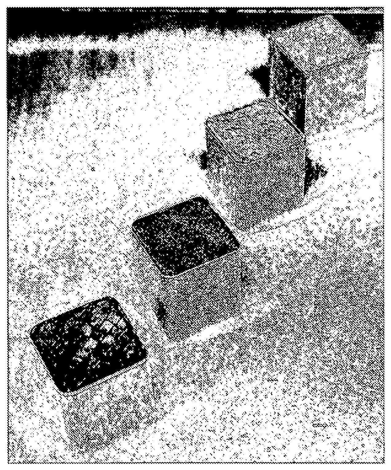 Patent US12351894 — Powder made of a cobalt-chromium alloy — Figure 1