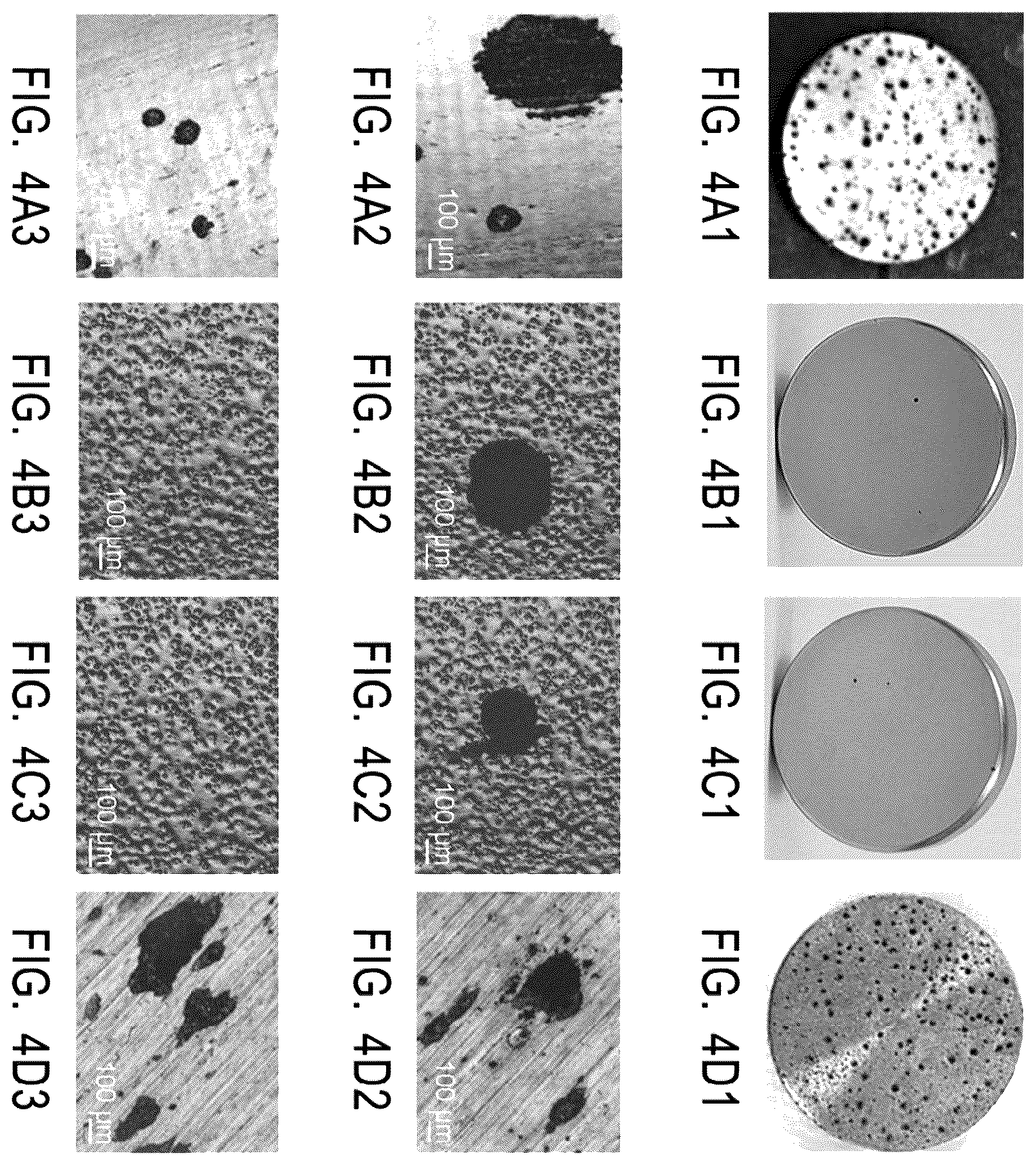 Patent US12351910 Figure 5 – Hafnium aluminum oxide coatings deposited by atomic layer deposition