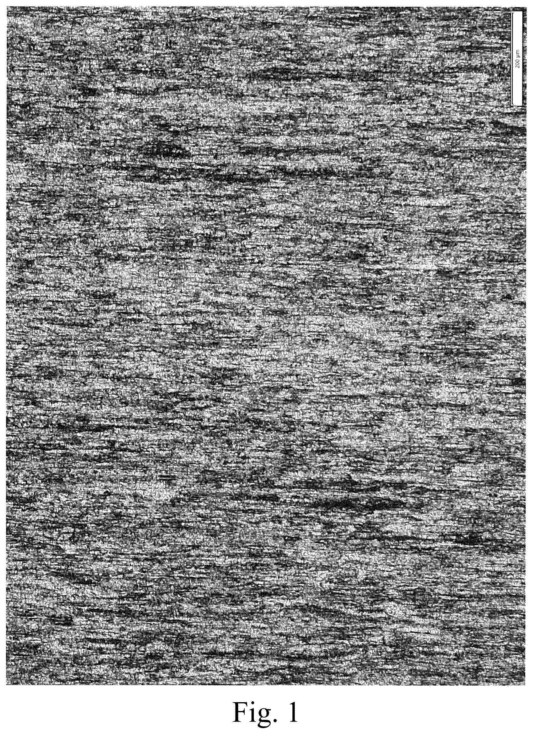 Patent US12351922 Figure 1 – Roughening treatment method for stainless steel surface, method for manufacturing roughened stainless steel, and aqueous composition used in said methods