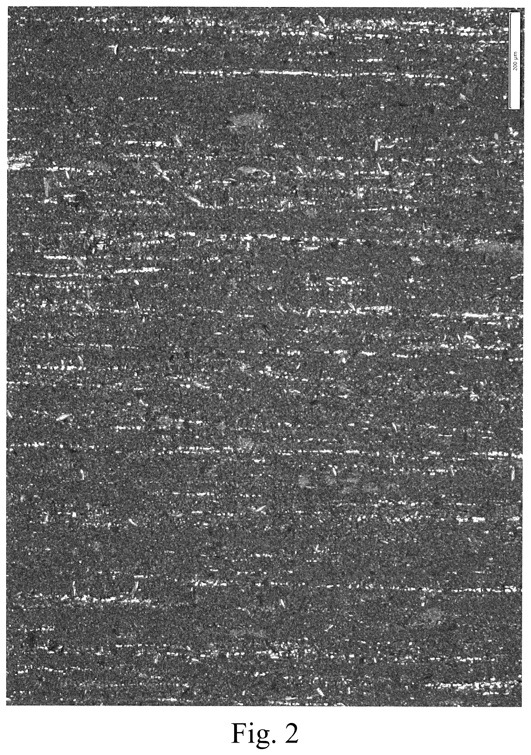 Patent US12351922 Figure 2 – Roughening treatment method for stainless steel surface, method for manufacturing roughened stainless steel, and aqueous composition used in said methods