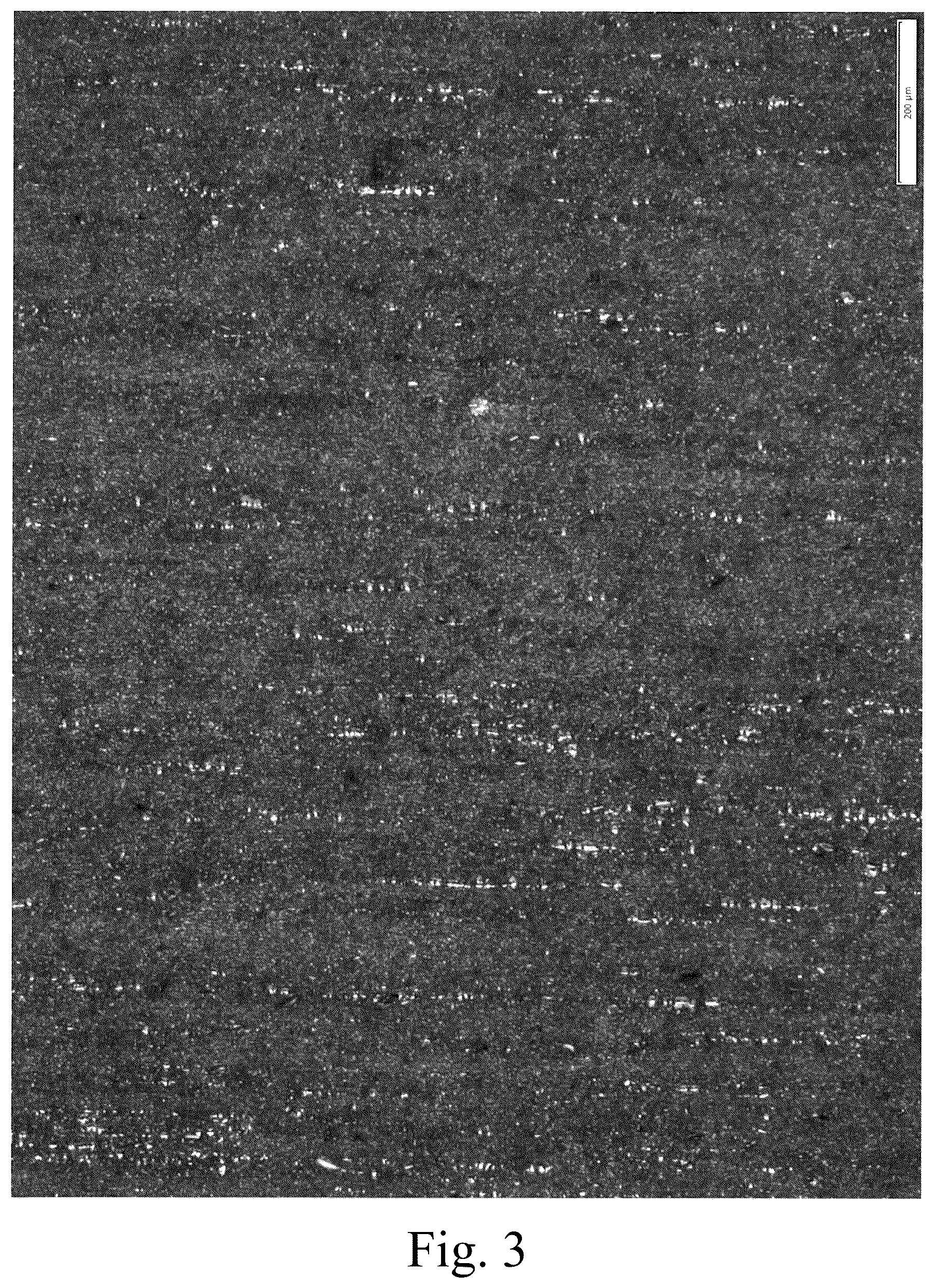 Patent US12351922 Figure 3 – Roughening treatment method for stainless steel surface, method for manufacturing roughened stainless steel, and aqueous composition used in said methods