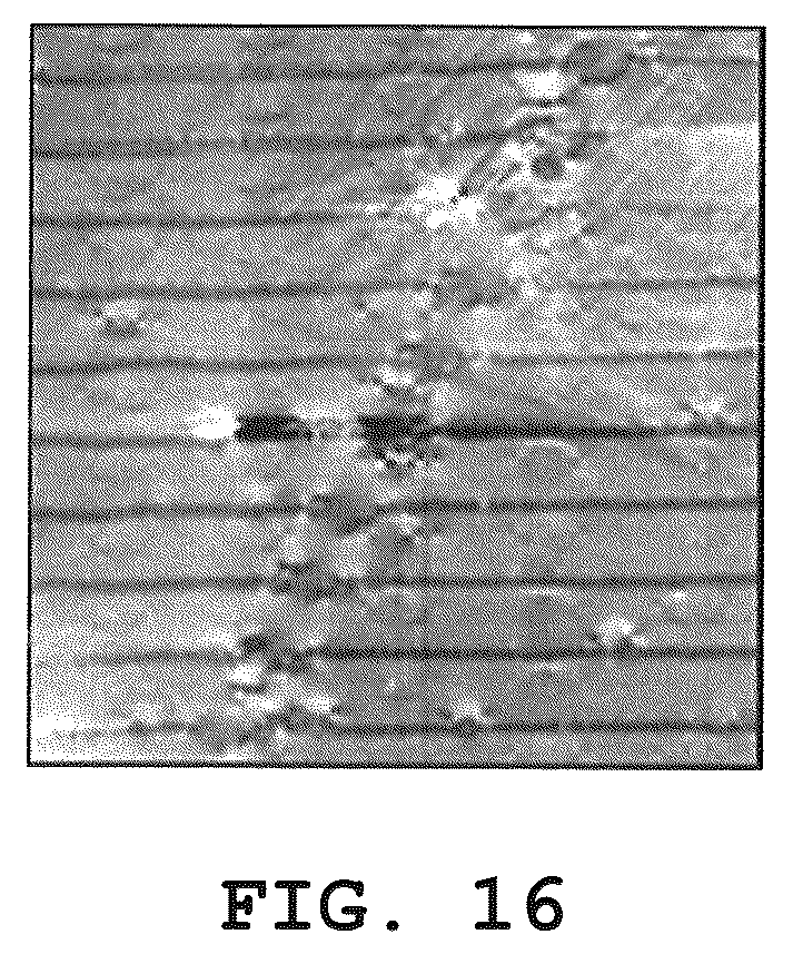 Patent US12351943 Figure 16 – n-Type GaN crystal, GaN wafer, and GaN crystal, GaN wafer and nitride semiconductor device production method