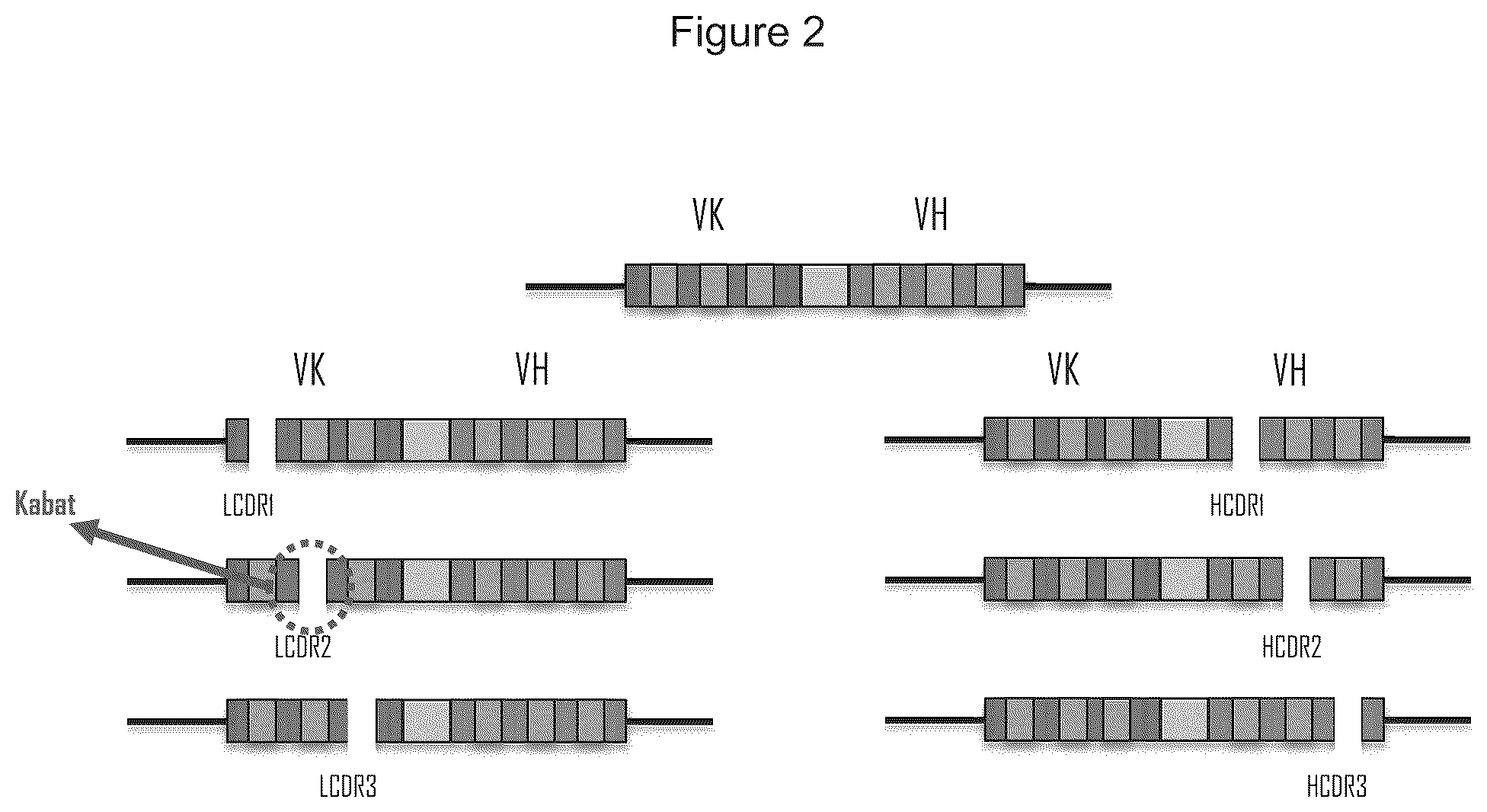 Patent US12351945 Figure 2 – Antibody libraries with maximized antibody developability characteristics