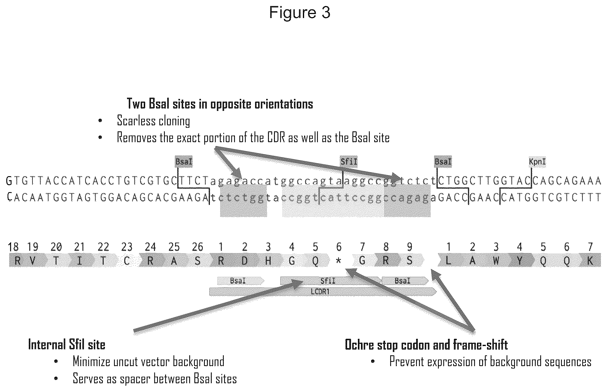 Patent US12351945 Figure 3 – Antibody libraries with maximized antibody developability characteristics