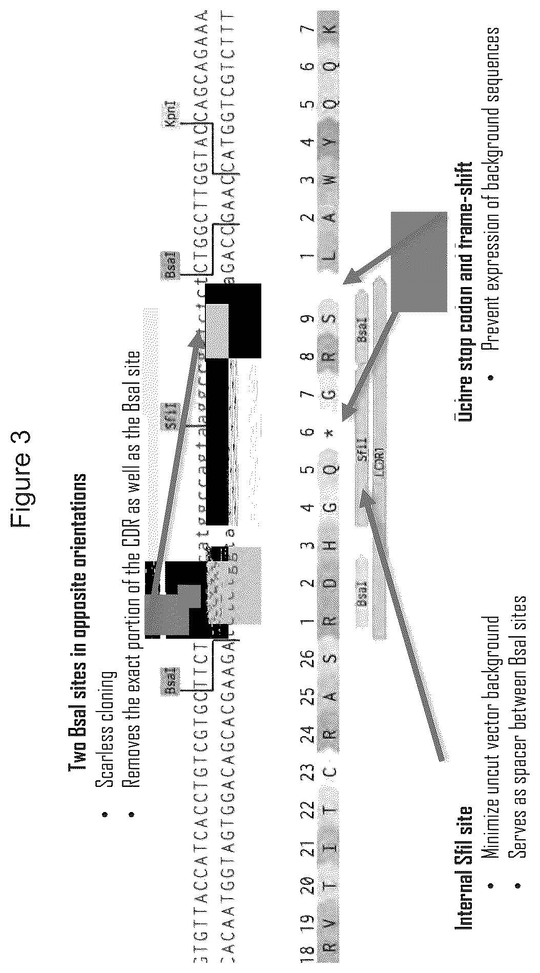 Patent US12351946 Figure 3 – Antibody libraries with maximized antibody developability characteristics