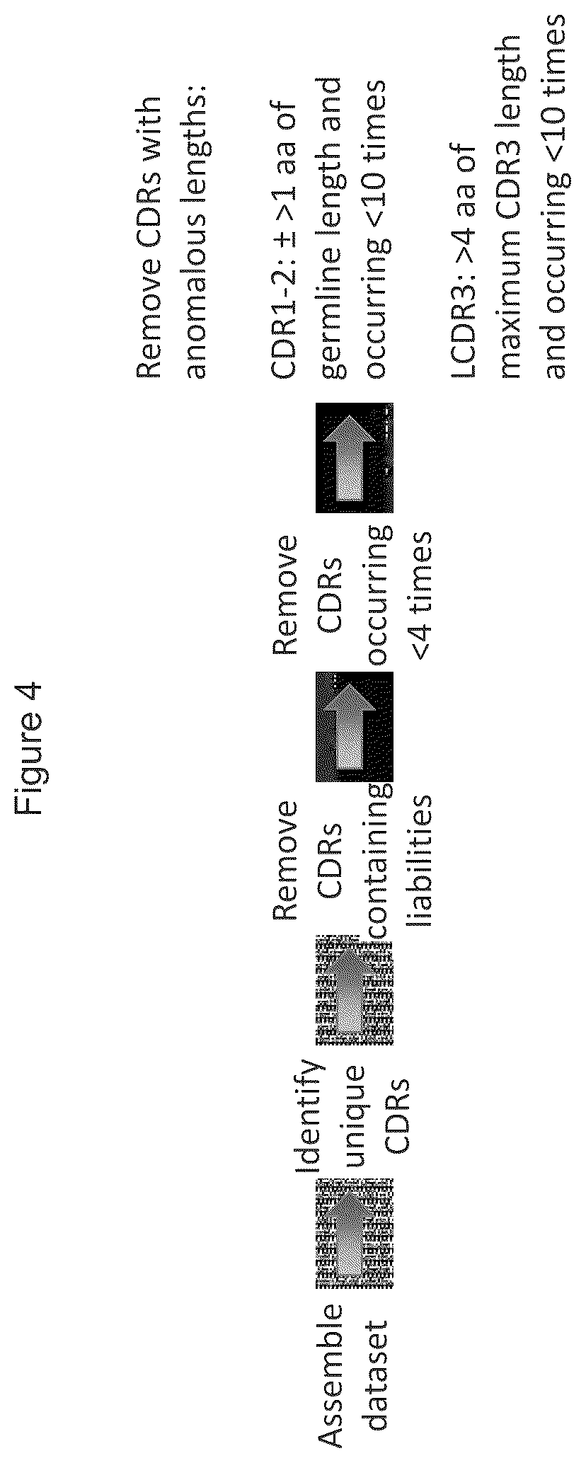 Patent US12351946 Figure 4 – Antibody libraries with maximized antibody developability characteristics
