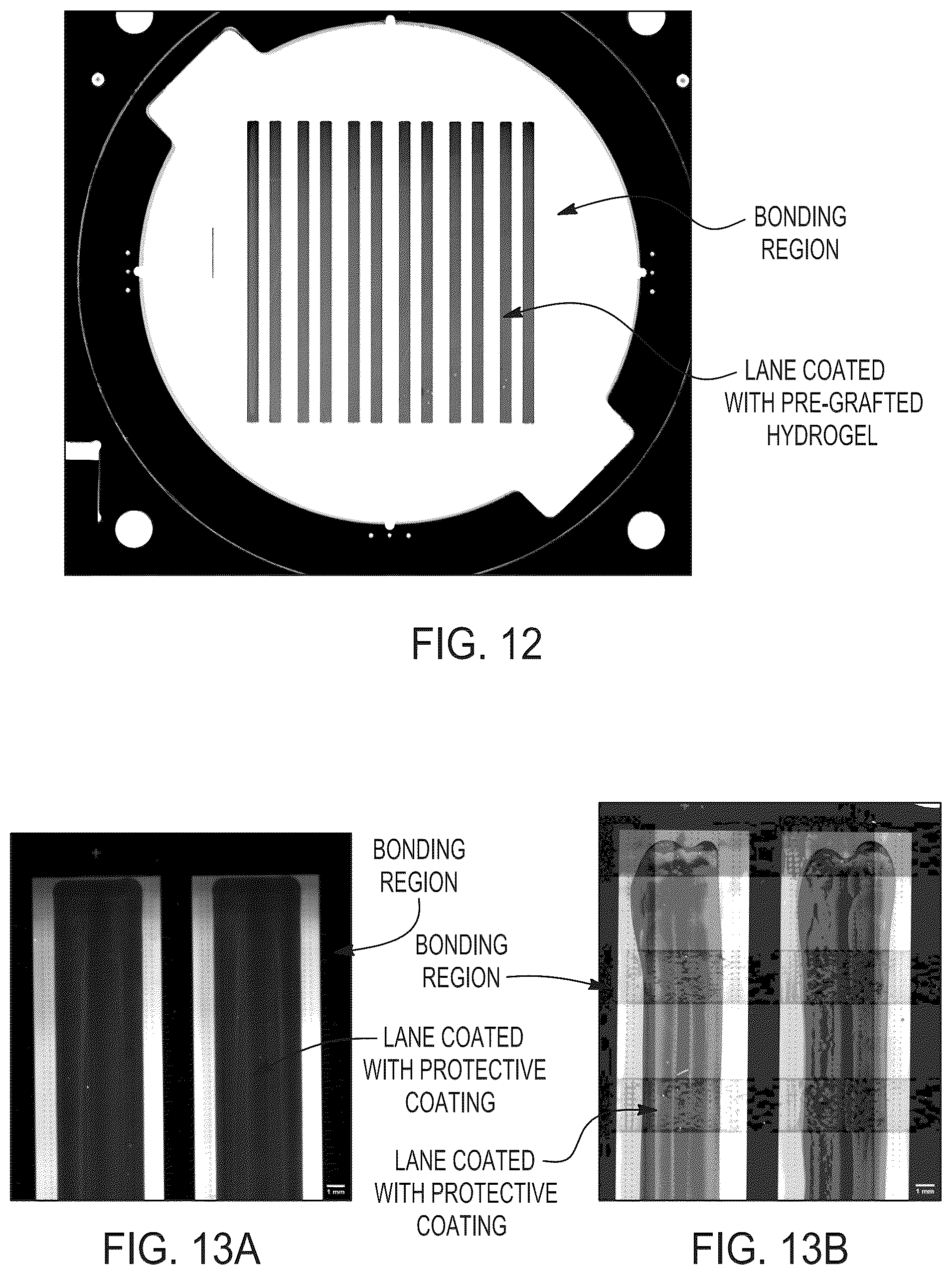 Patent US12353136 Figure 12 – Flow cell coating methods