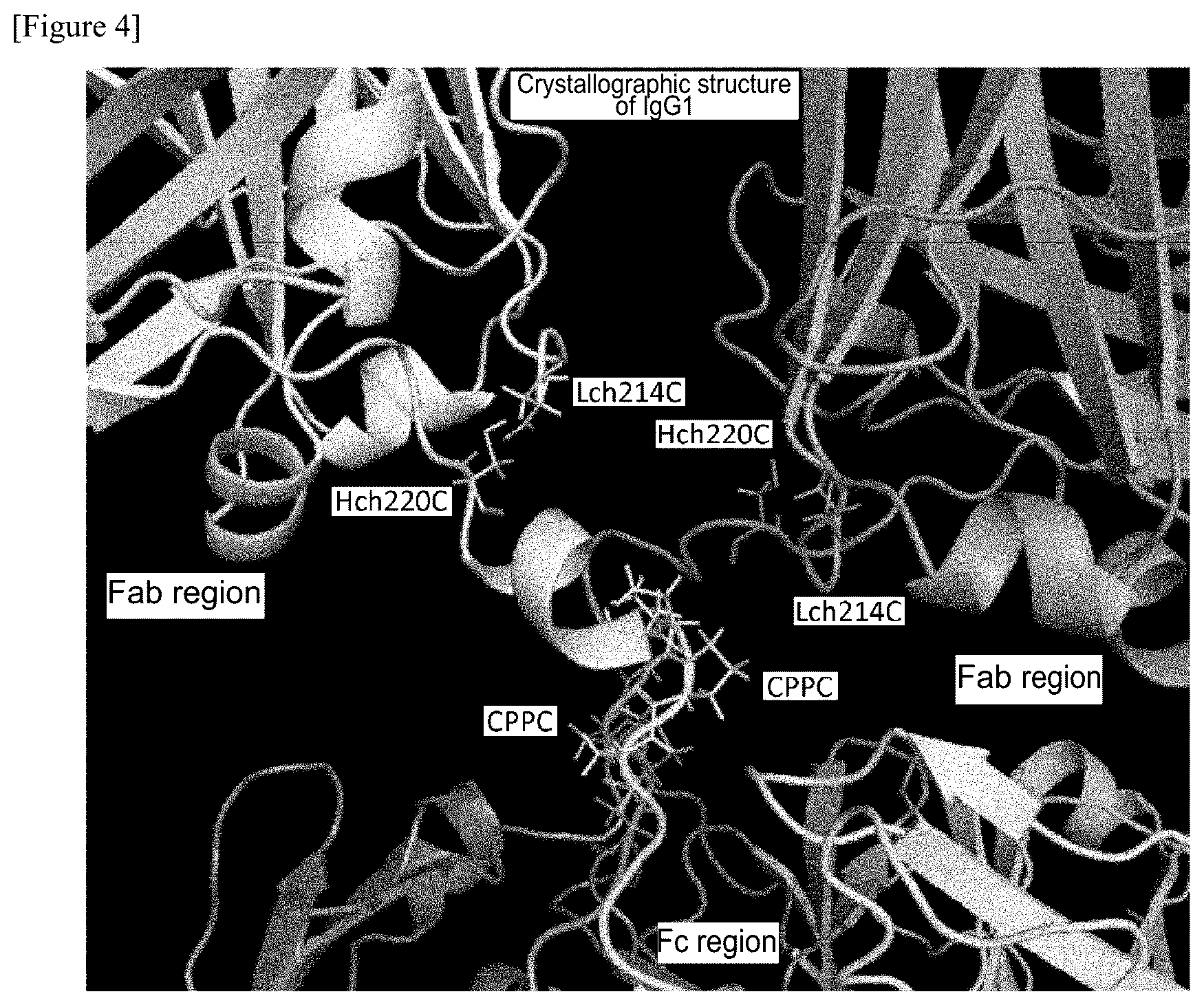 Patent US12359001 Figure 4 – Method for producing polypeptide hetero-oligomer
