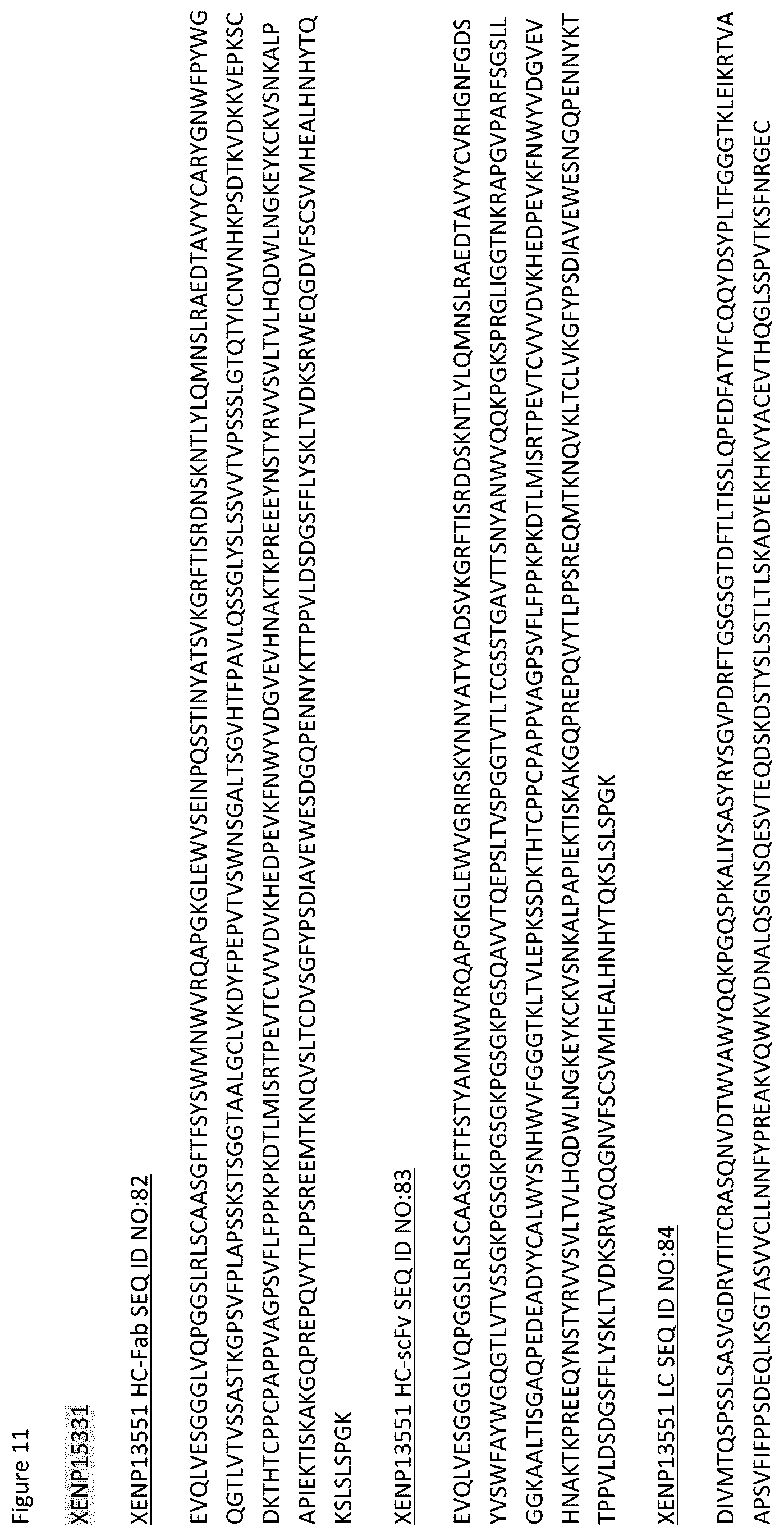 Patent US12359002 Figure 13 – Heterodimeric antibodies that bind CD3 and tumor antigens