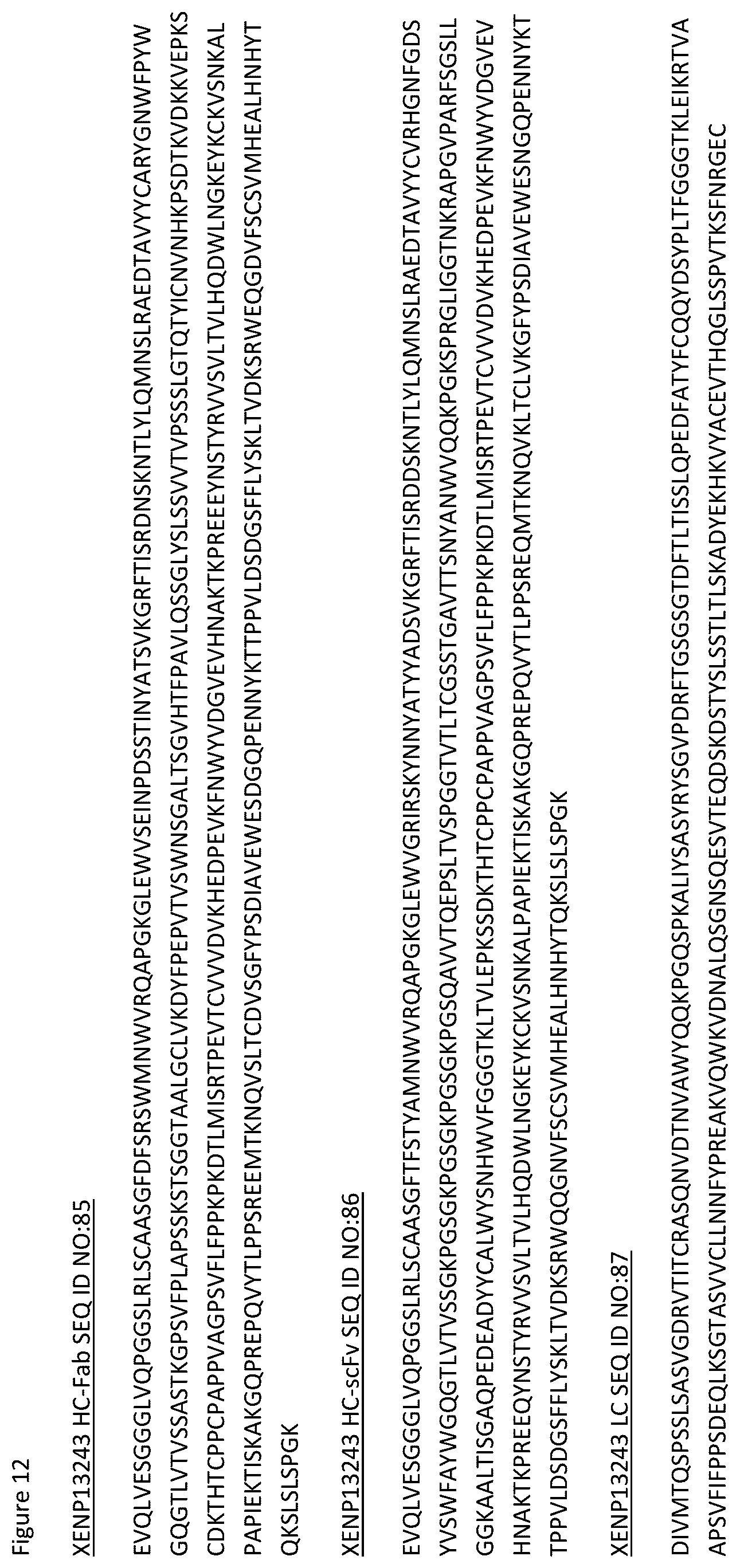 Patent US12359002 Figure 14 – Heterodimeric antibodies that bind CD3 and tumor antigens