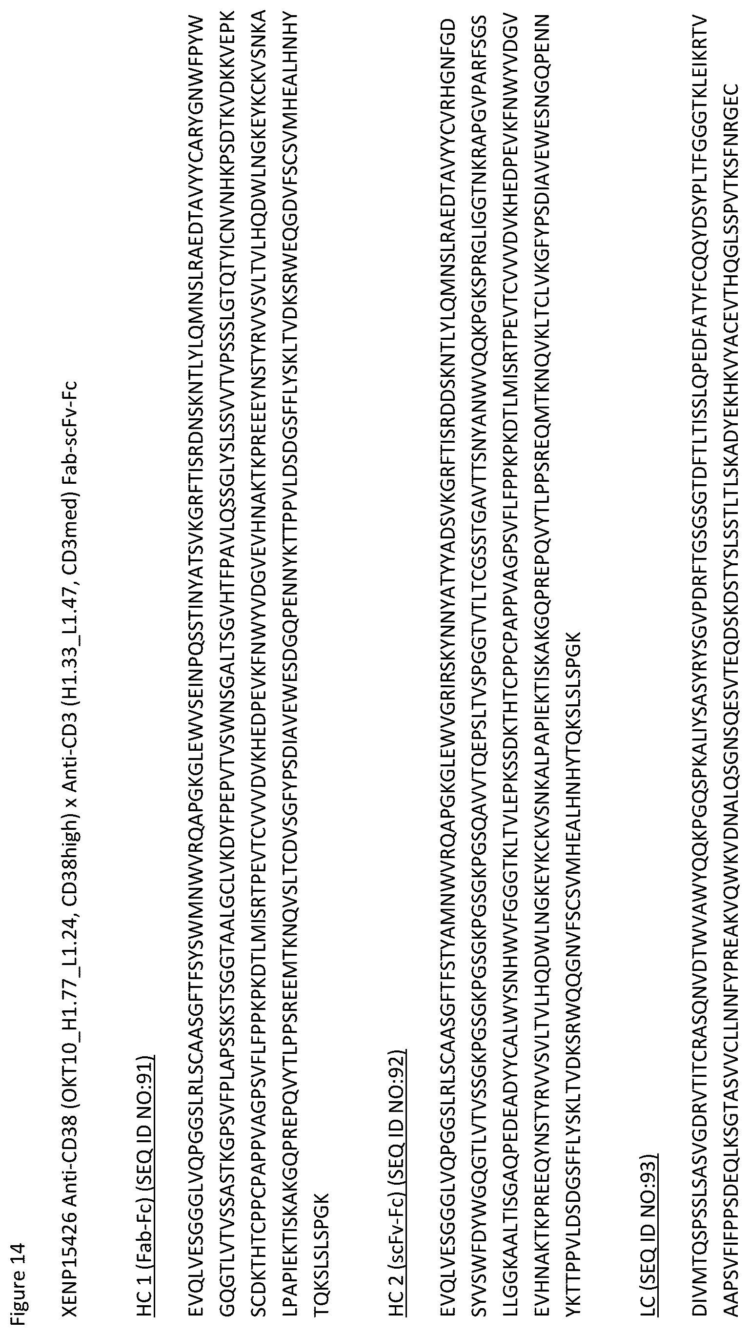 Patent US12359002 Figure 16 – Heterodimeric antibodies that bind CD3 and tumor antigens