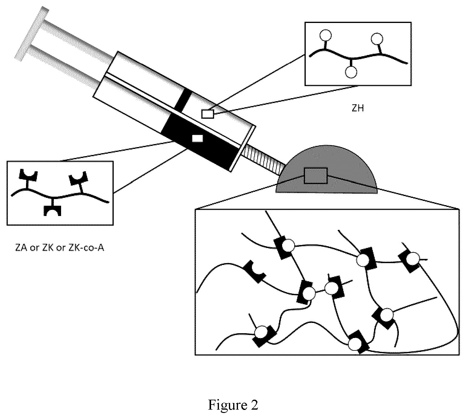 Patent US12359026 Figure 2 – In situ gelling zwitterionic hydrogel compositions, and methods of use thereof