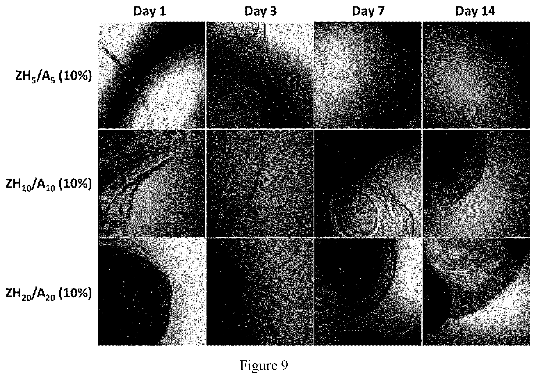 Patent US12359026 Figure 9 – In situ gelling zwitterionic hydrogel compositions, and methods of use thereof