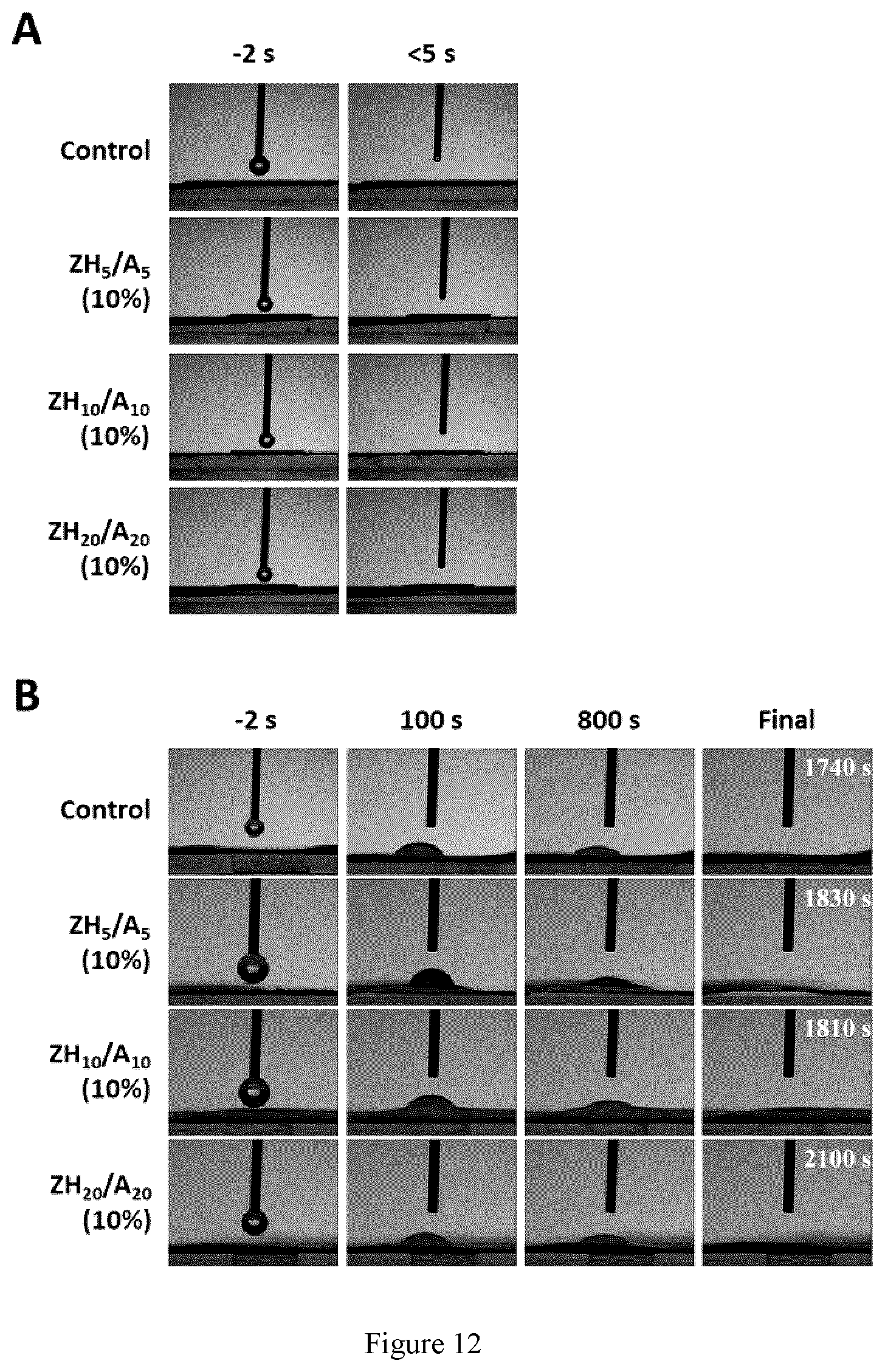 Patent US12359026 Figure 12 – In situ gelling zwitterionic hydrogel compositions, and methods of use thereof