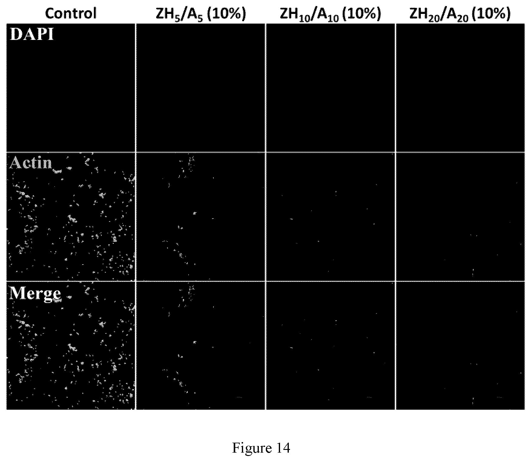 Patent US12359026 Figure 14 – In situ gelling zwitterionic hydrogel compositions, and methods of use thereof