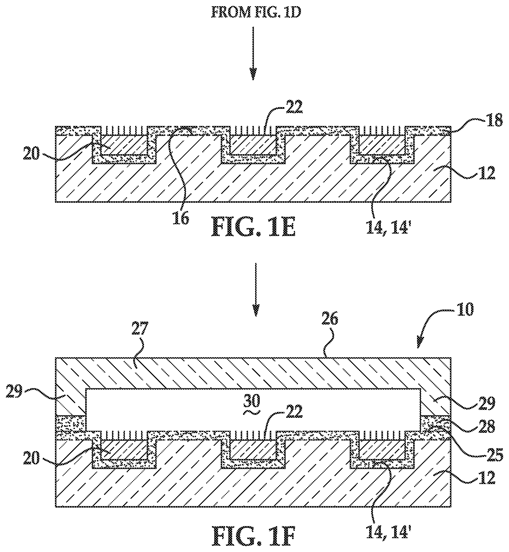 Patent US12359053 Figure 2 – Flow cell including a heteropolymer