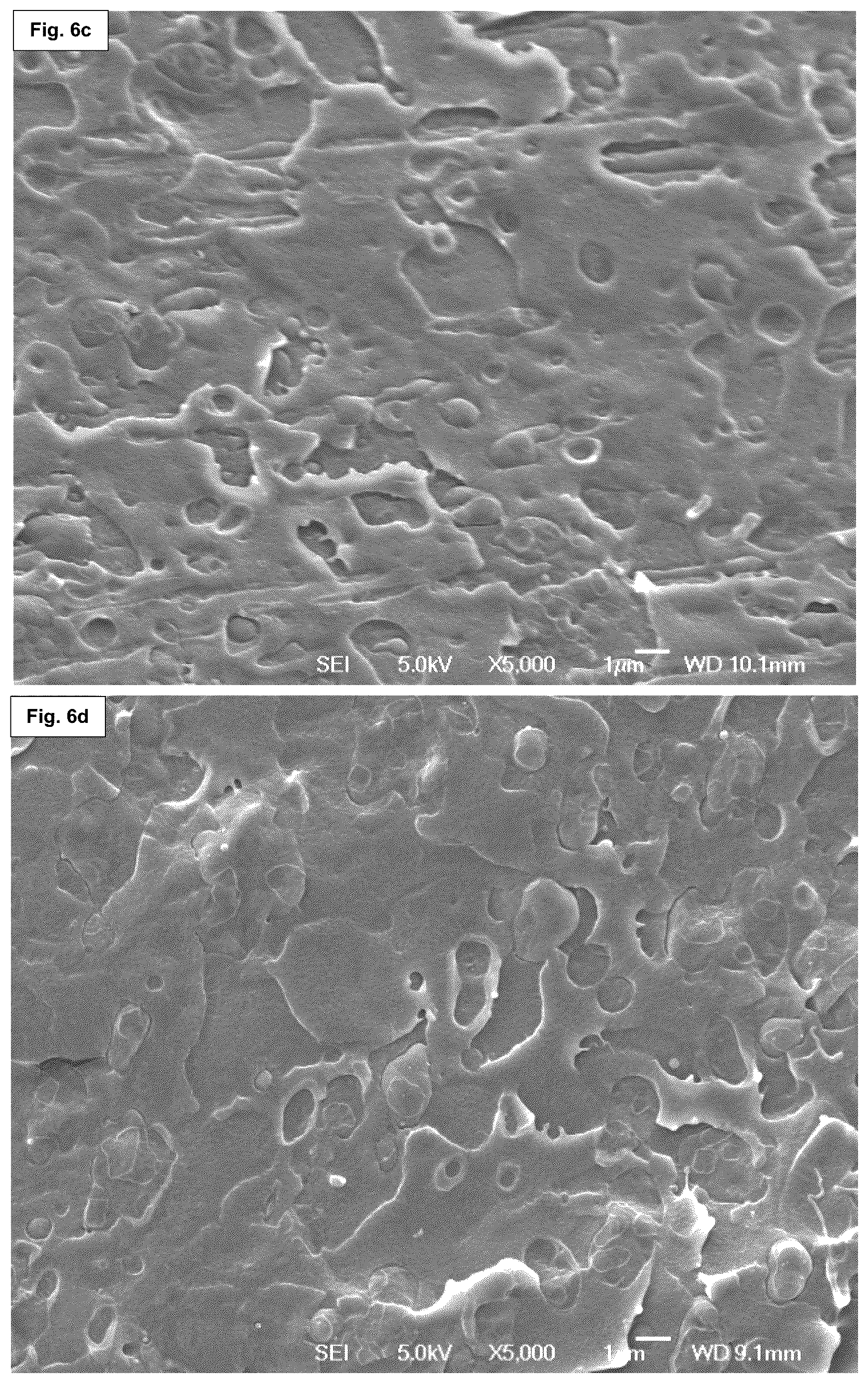 Patent US12359060 Figure 8 – Polymers
