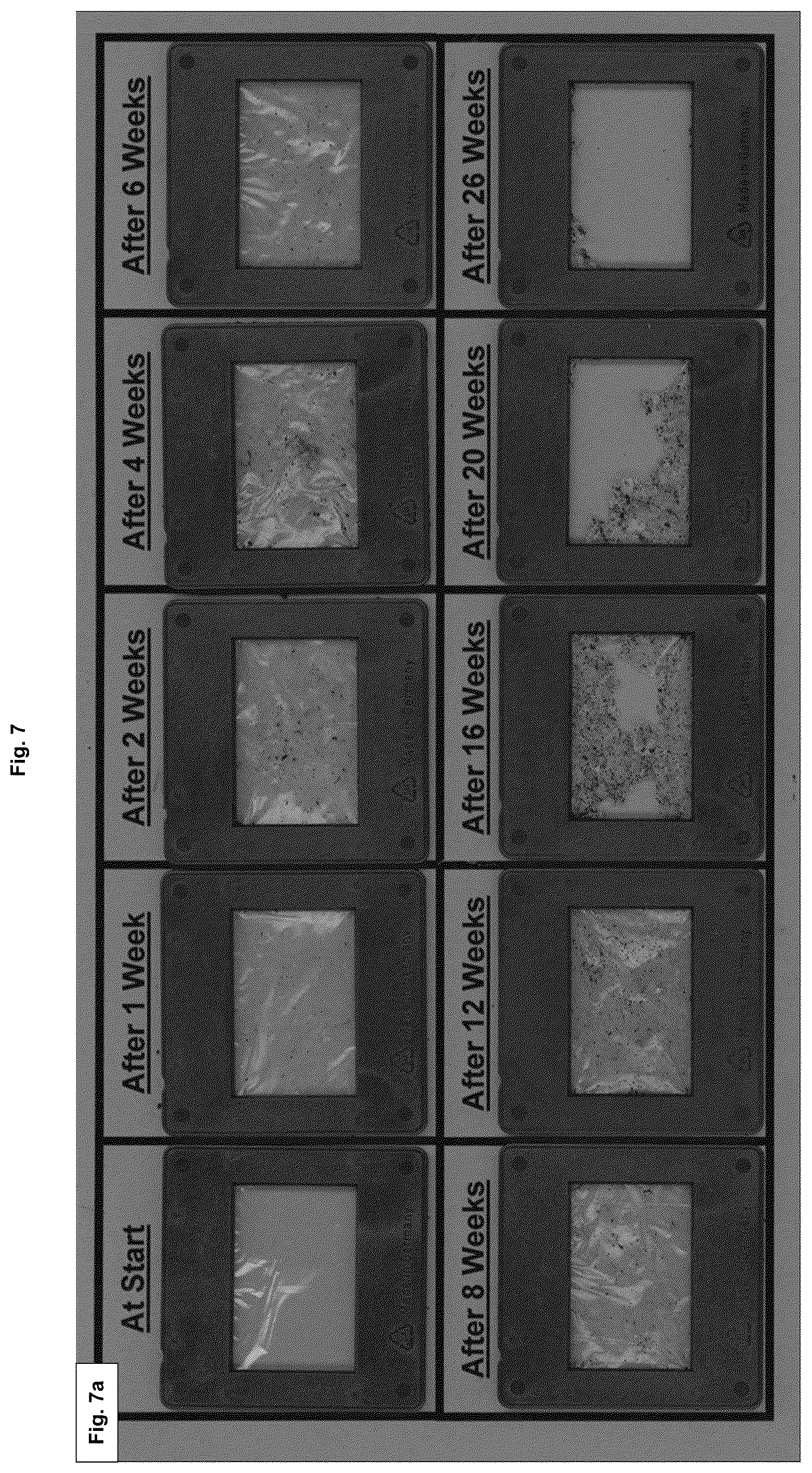 Patent US12359060 Figure 9 – Polymers