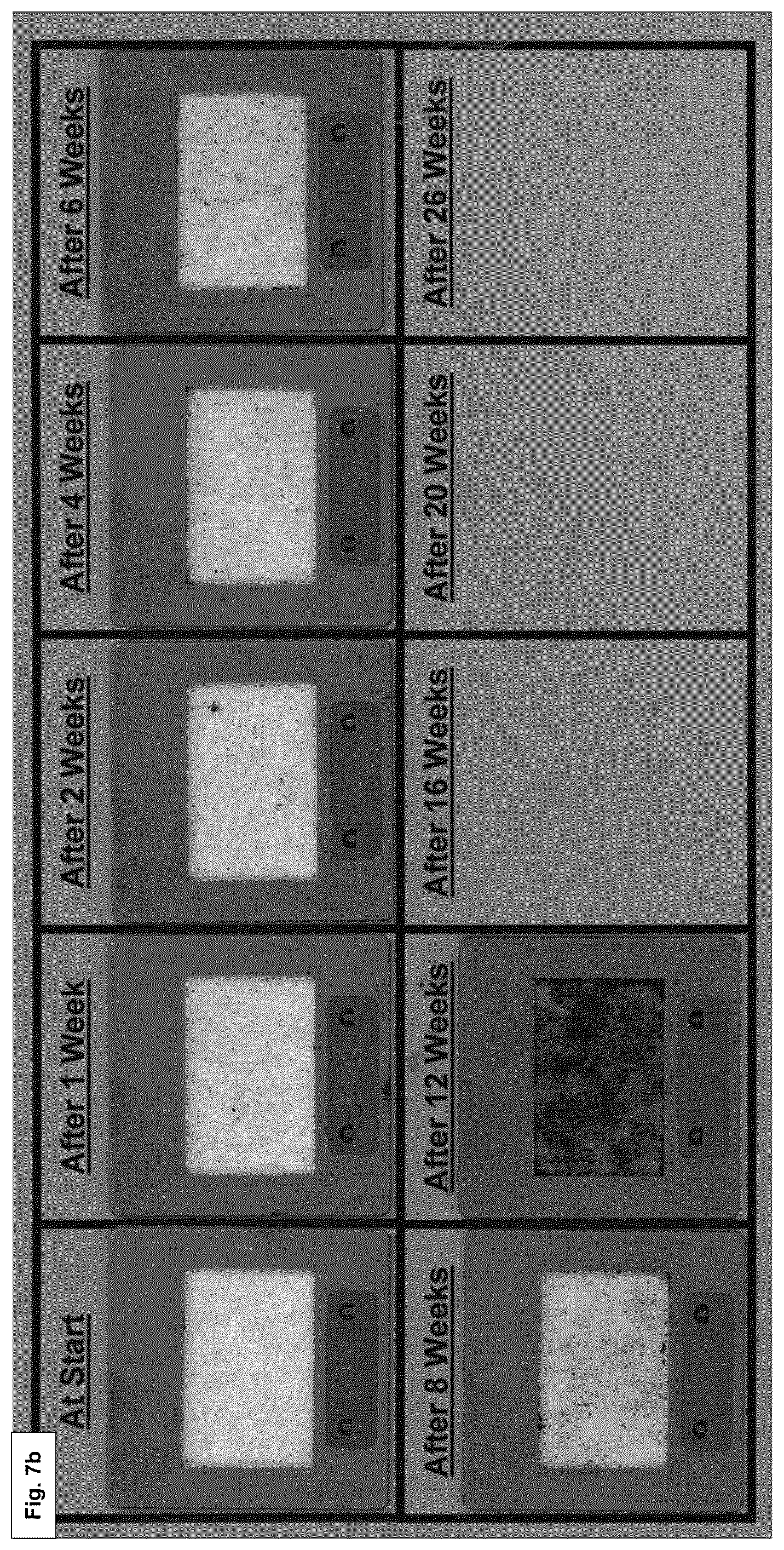 Patent US12359060 Figure 10 – Polymers