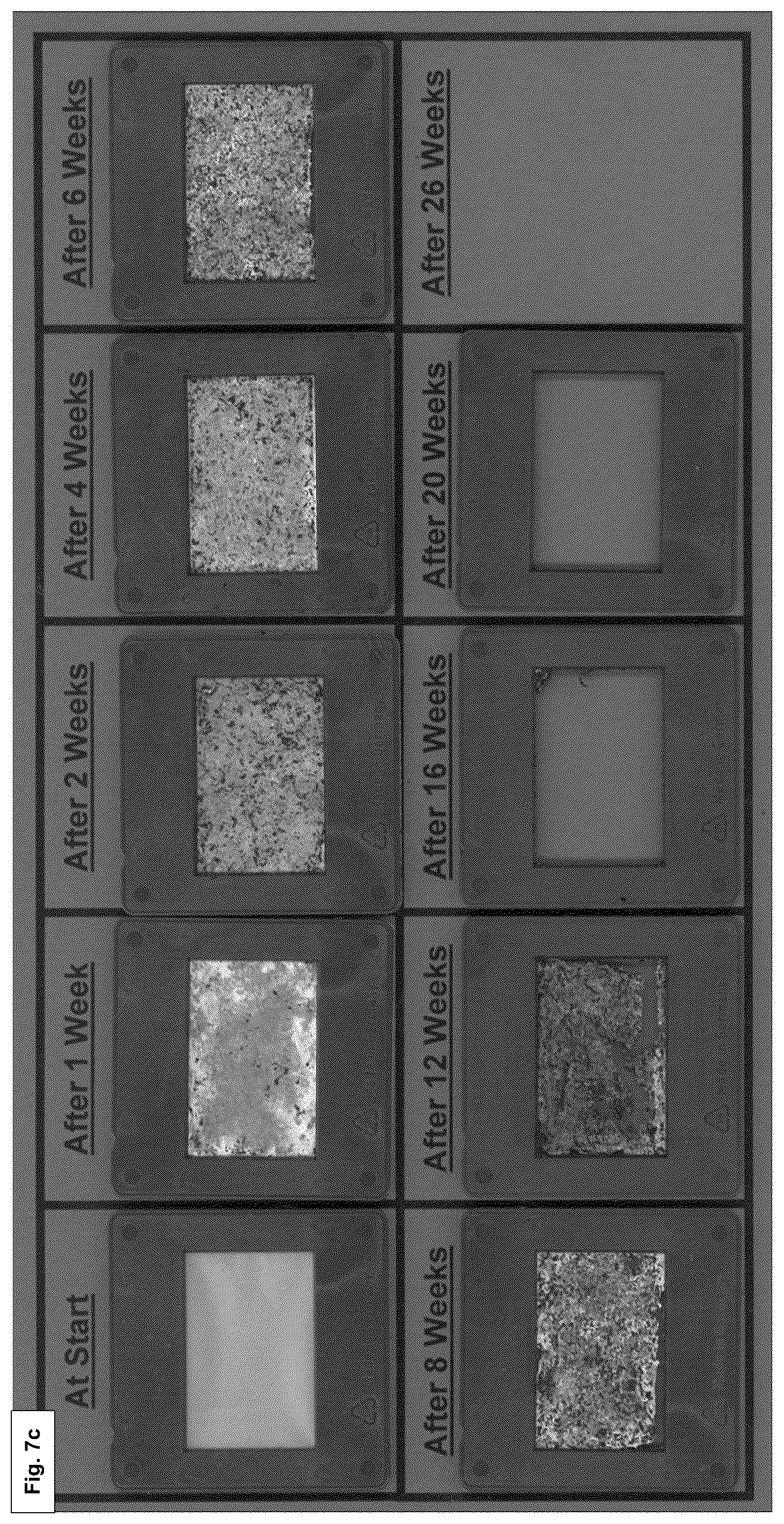 Patent US12359060 Figure 11 – Polymers