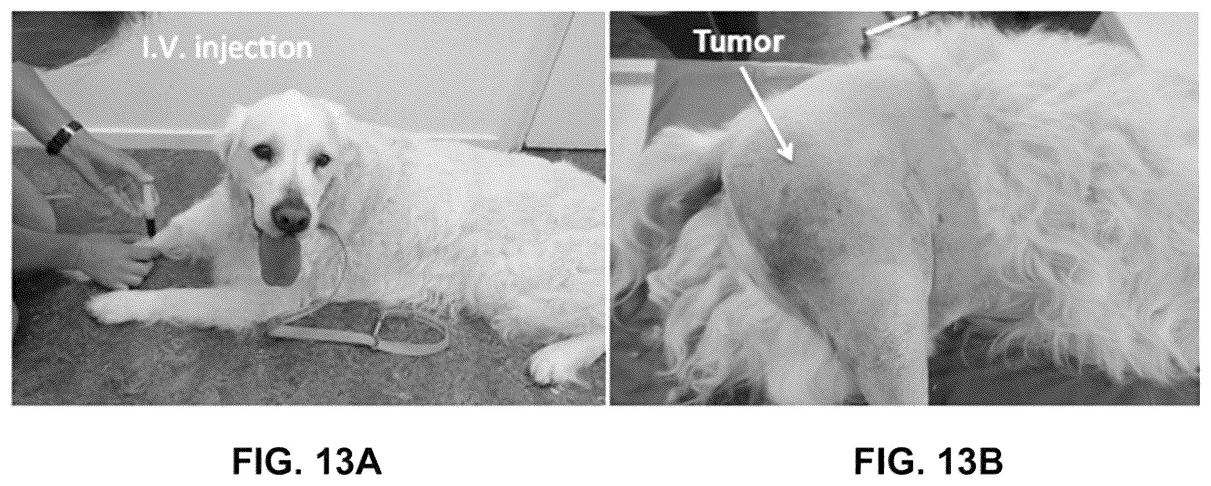 Patent US12359069 Figure 13 – Azacyanine dyes and use thereof