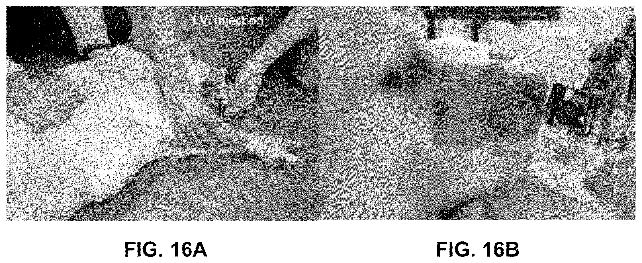 Patent US12359069 Figure 16 – Azacyanine dyes and use thereof