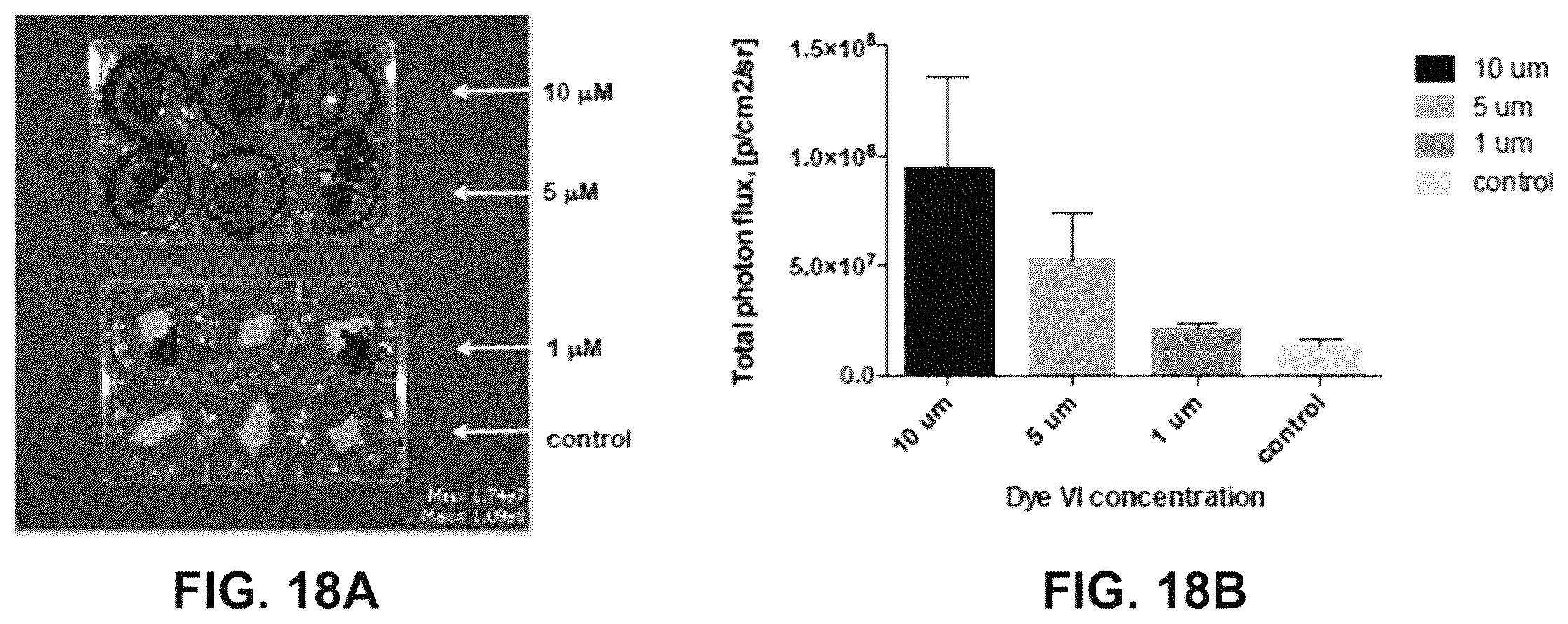 Patent US12359069 Figure 18 – Azacyanine dyes and use thereof