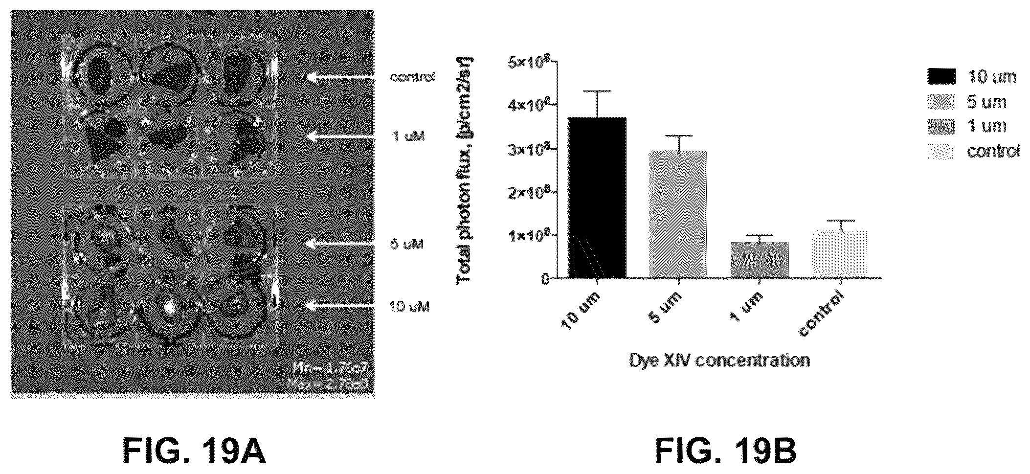 Patent US12359069 Figure 19 – Azacyanine dyes and use thereof