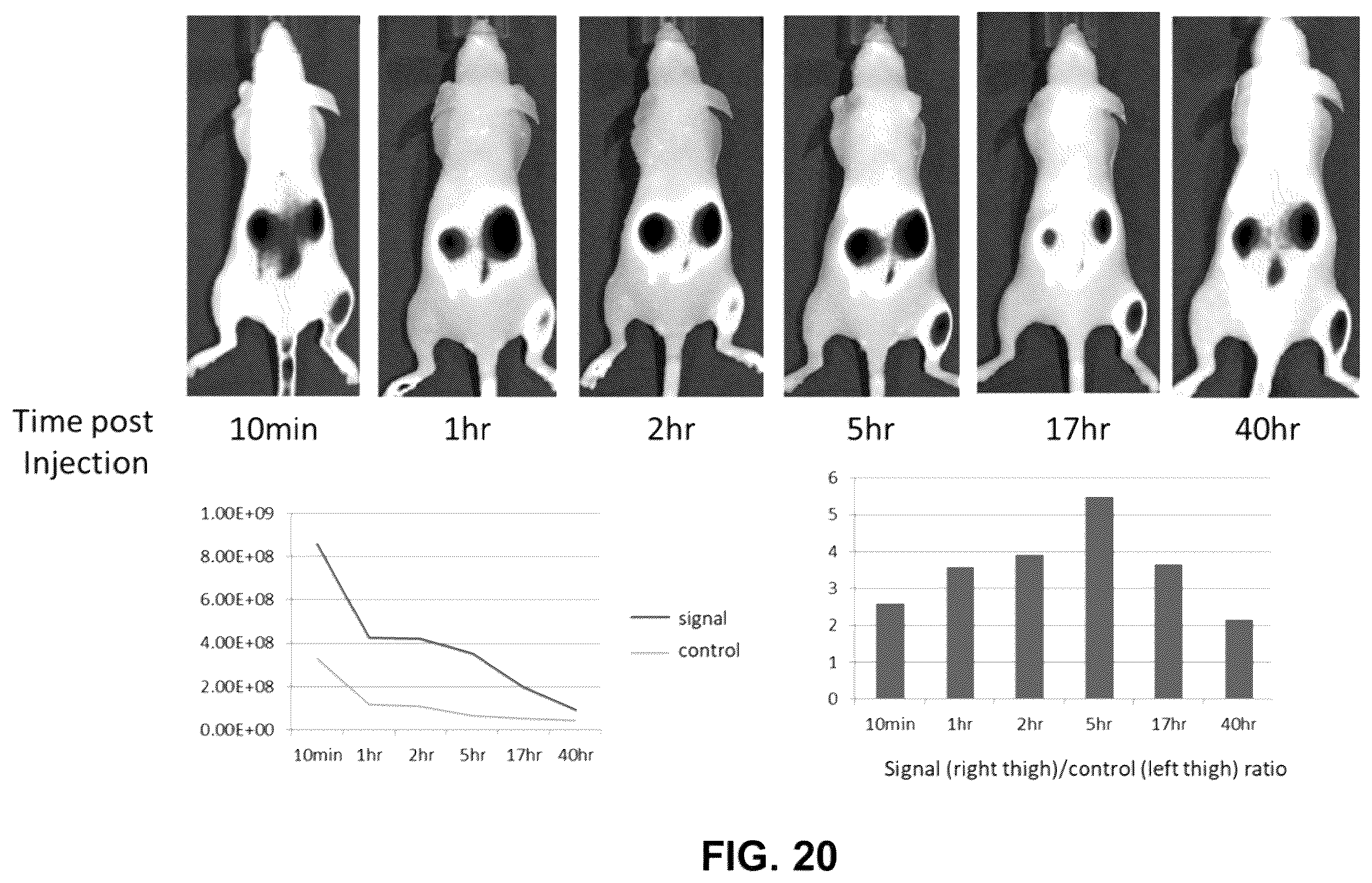 Patent US12359069 Figure 20 – Azacyanine dyes and use thereof