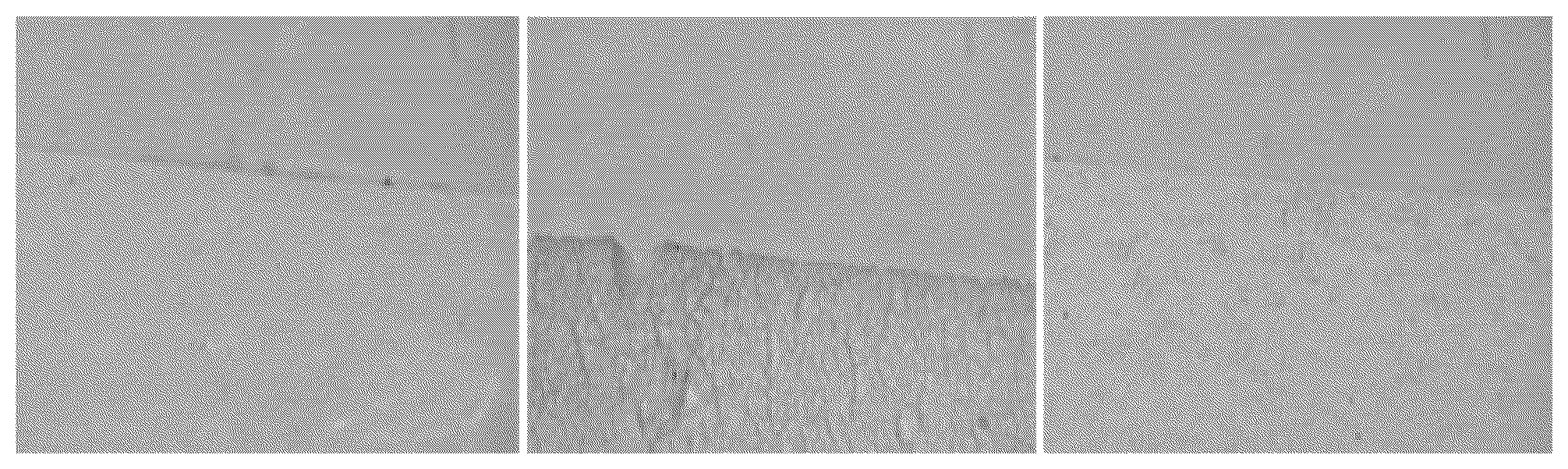 Patent US12359073 Figure 1 – Aqueous coating-film-forming composition for forming lubricating coating film, and air bag using said composition