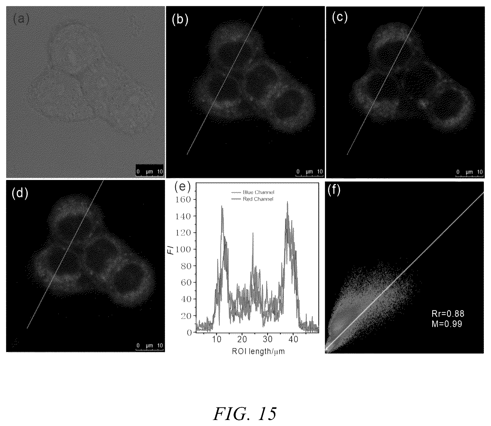 Patent US12359121 Figure 7 – Neutral fluorescent mitochondrial marker as amide derivative, and preparation method and use thereof