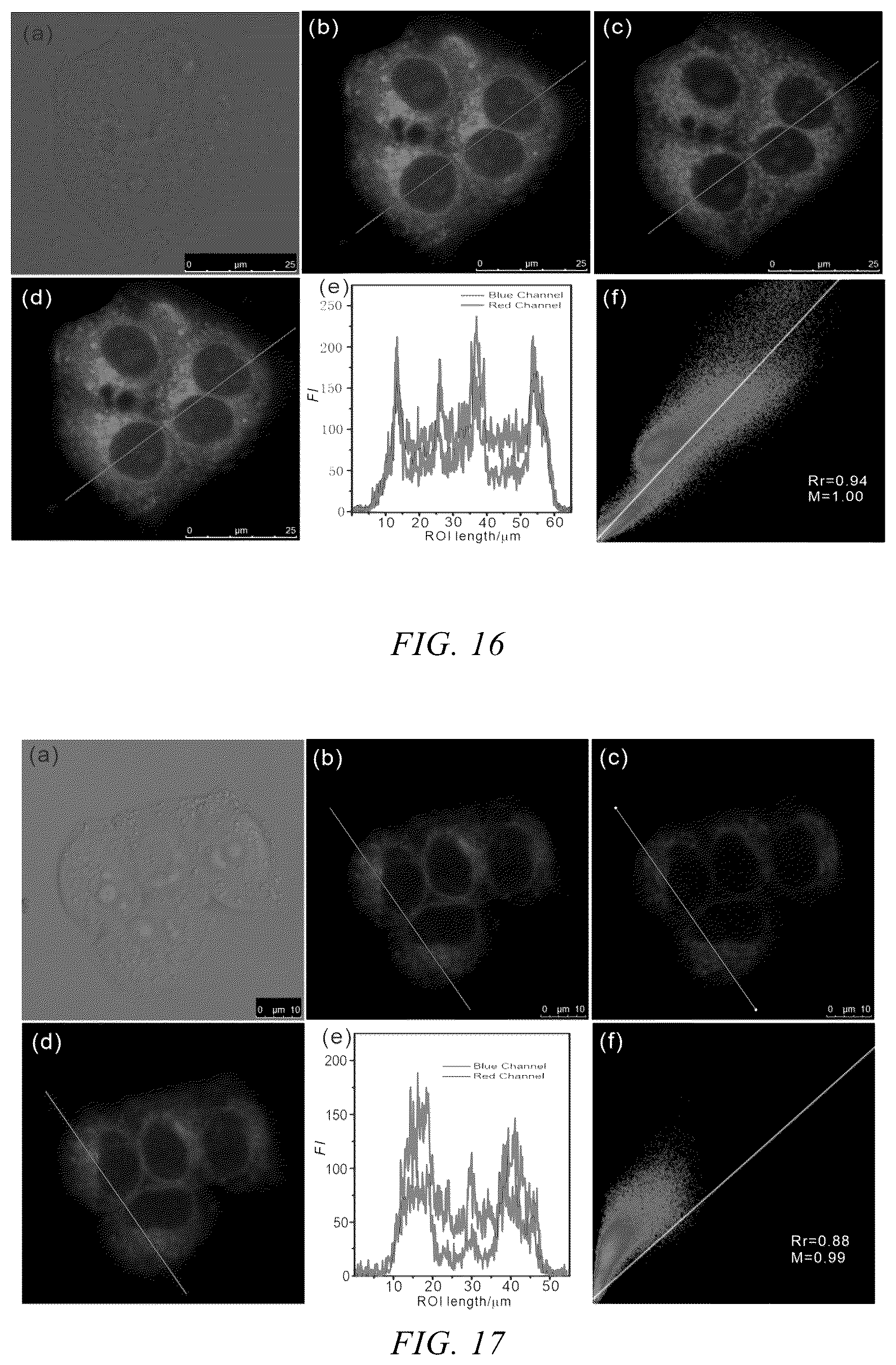 Patent US12359121 Figure 8 – Neutral fluorescent mitochondrial marker as amide derivative, and preparation method and use thereof
