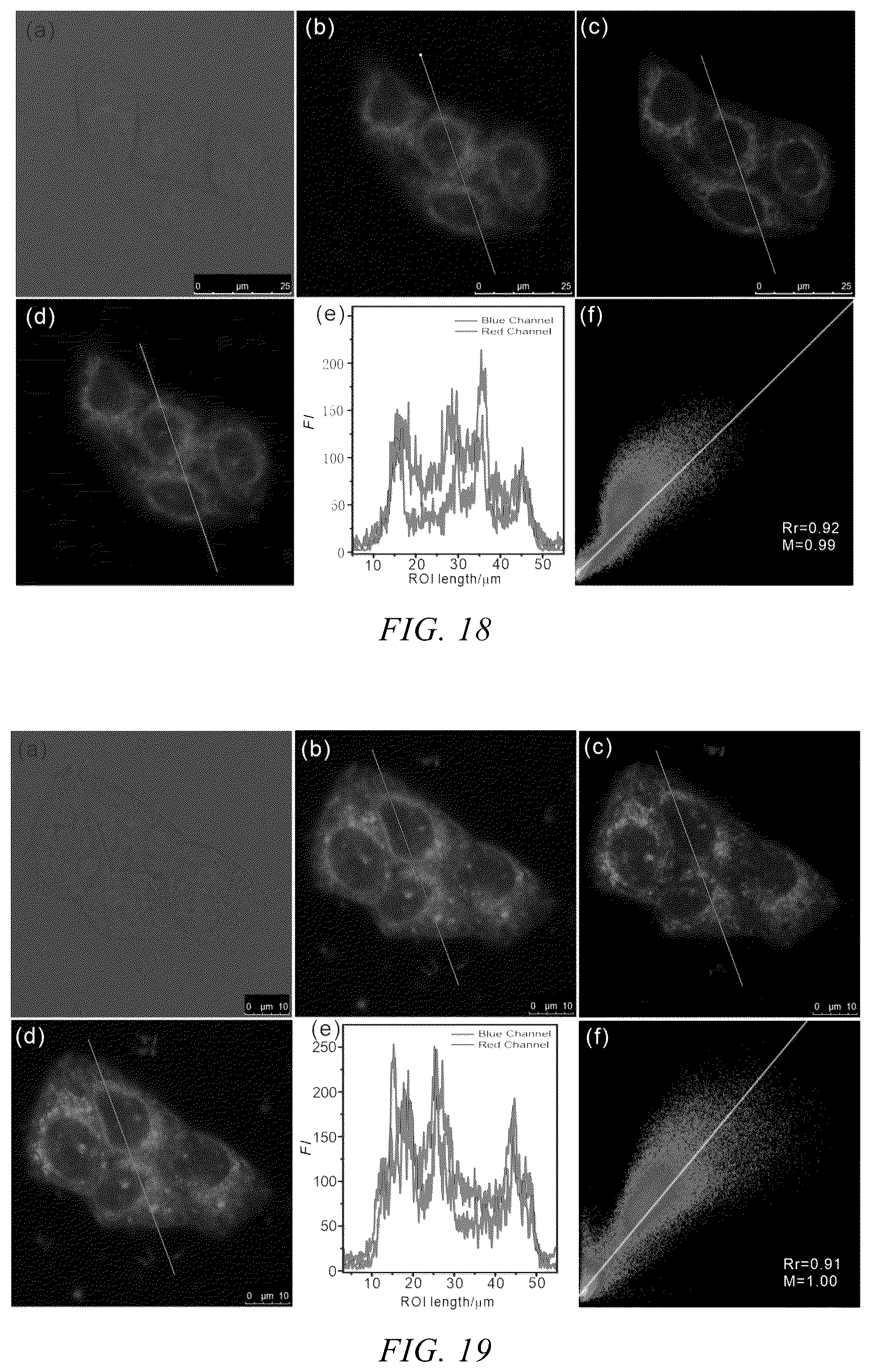 Patent US12359121 Figure 9 – Neutral fluorescent mitochondrial marker as amide derivative, and preparation method and use thereof