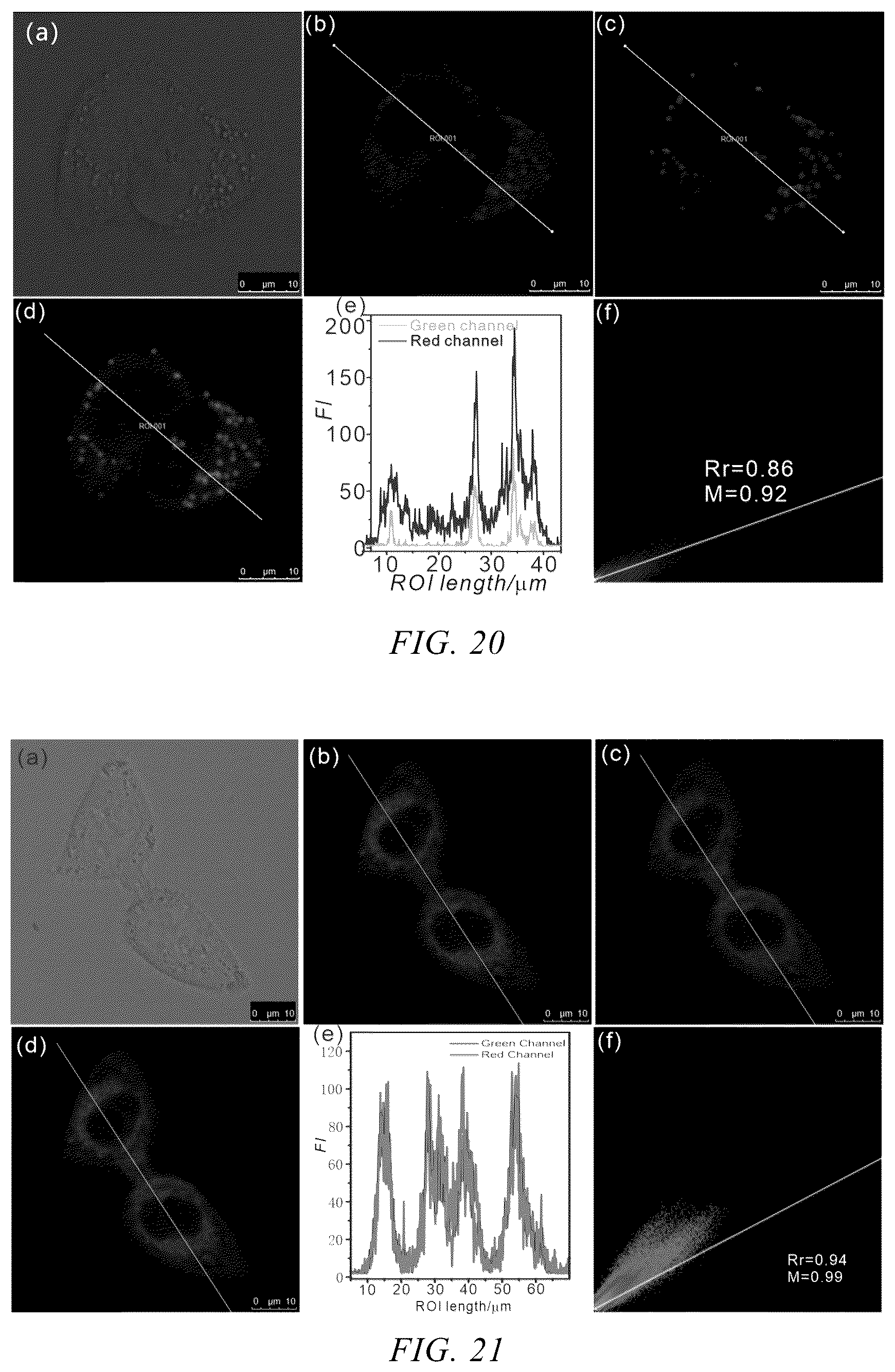 Patent US12359121 Figure 10 – Neutral fluorescent mitochondrial marker as amide derivative, and preparation method and use thereof